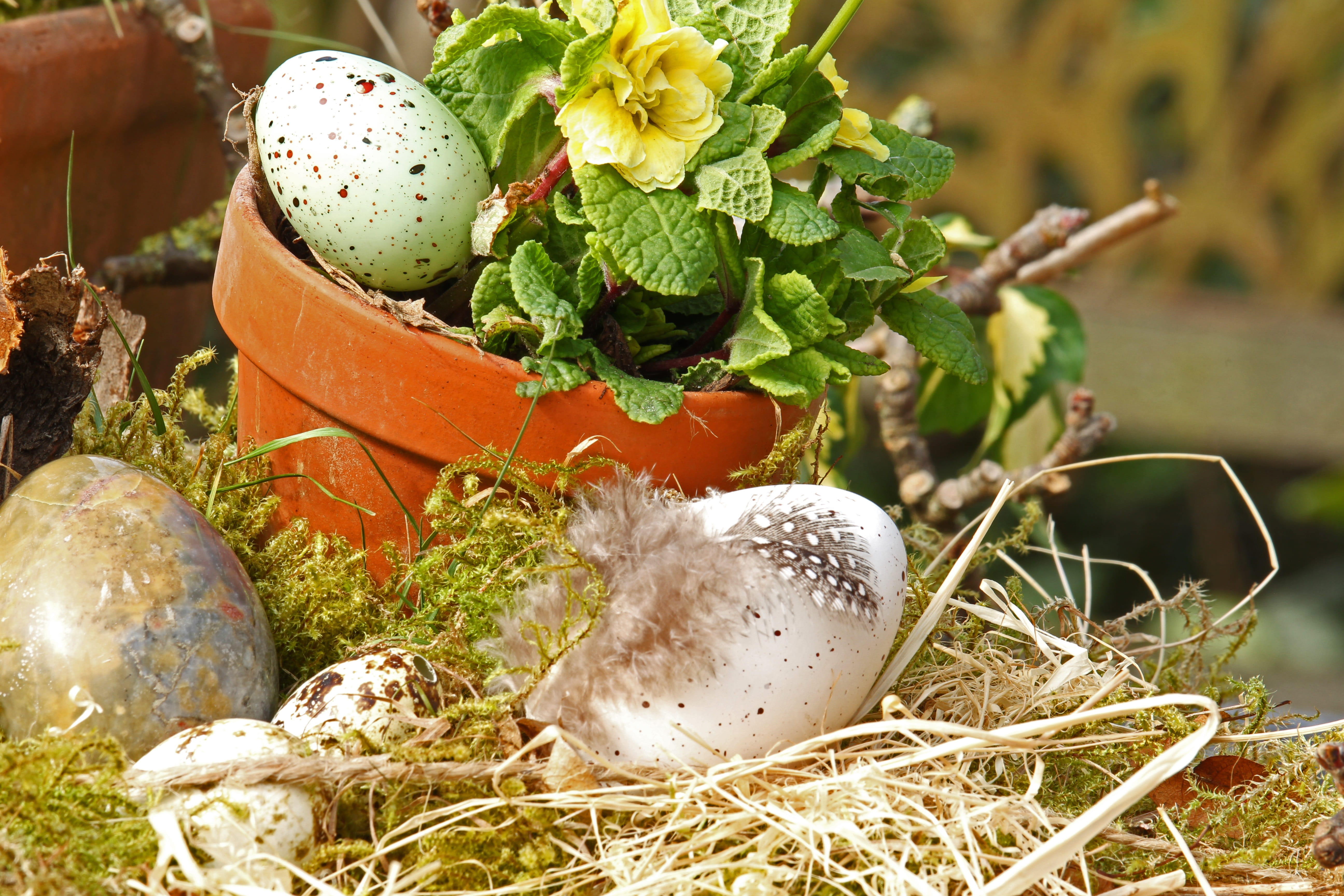 easter eggs, easter nest, easter decoration, easter theme, spring