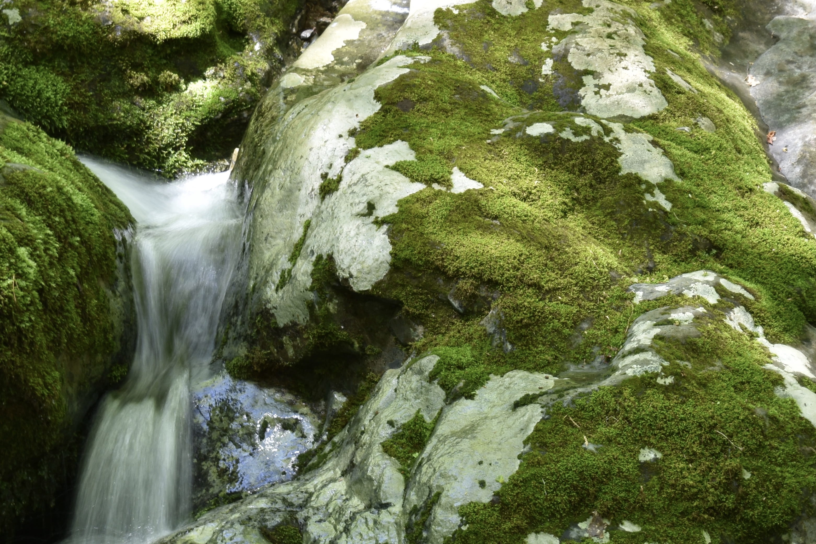 rocks, moss, forest, waterfall, blur, blurred water, long exposure