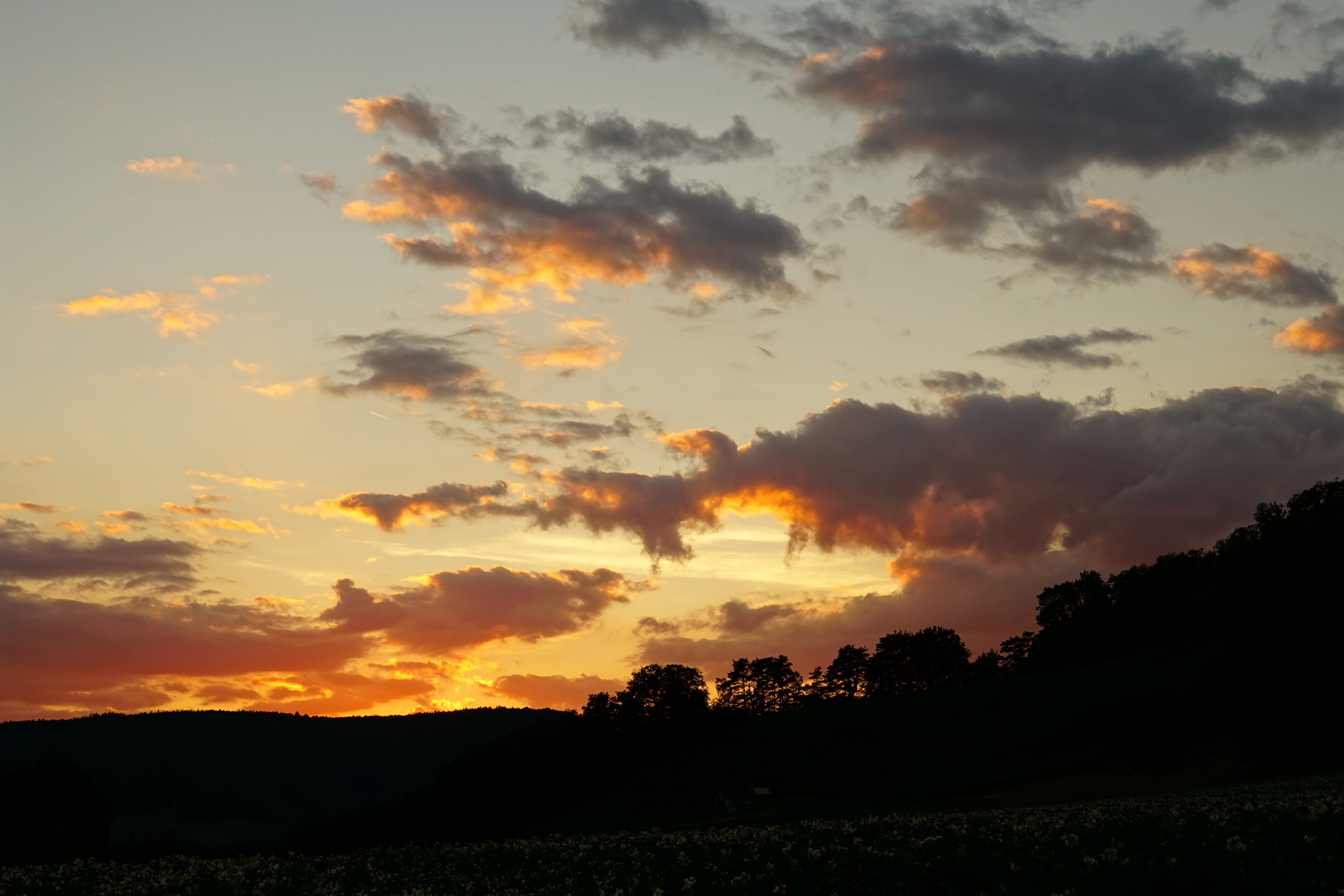 clouds, evening sky, sunset, cloud - sky, beauty in nature