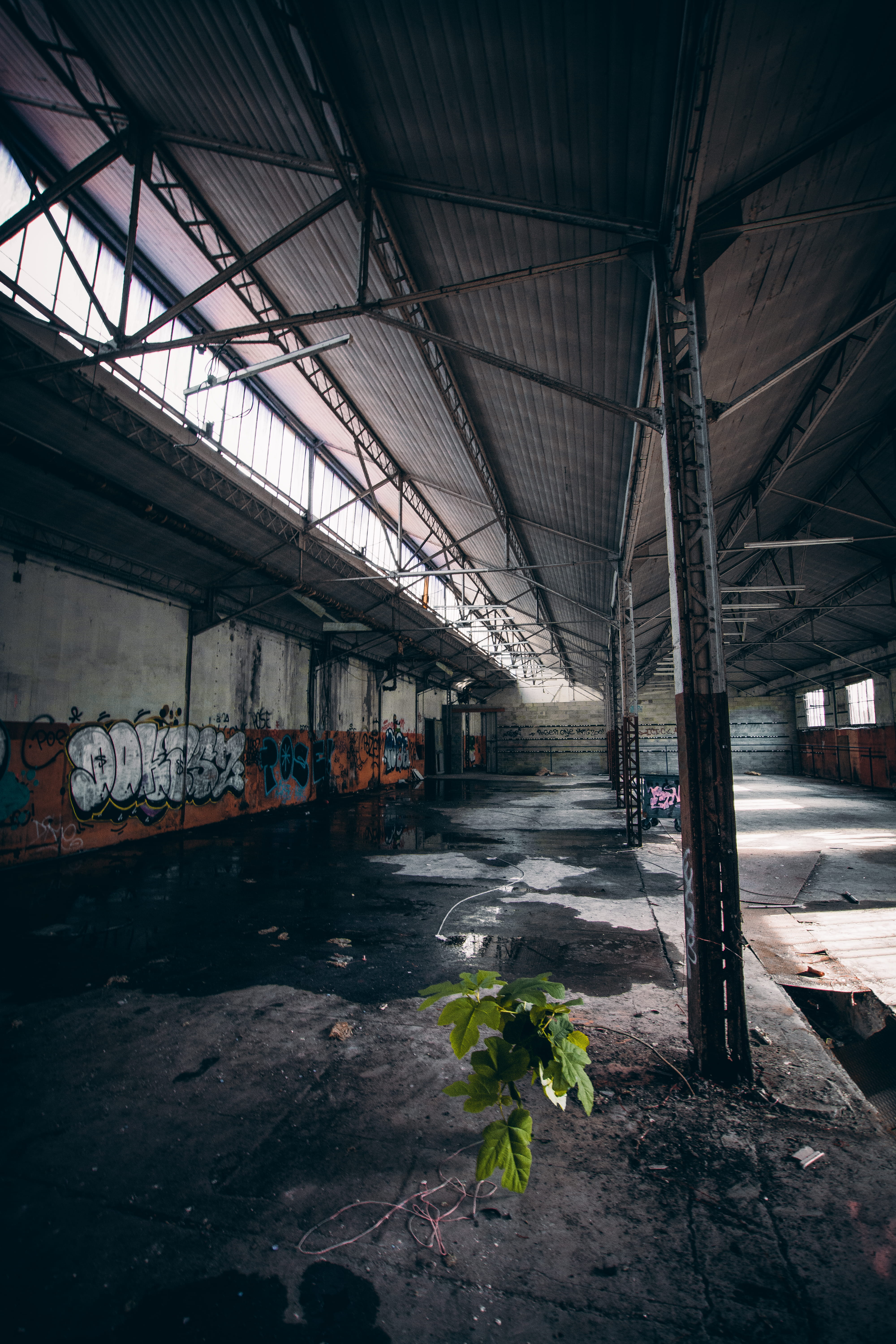 empty building interior at daytime, architecture, built structure