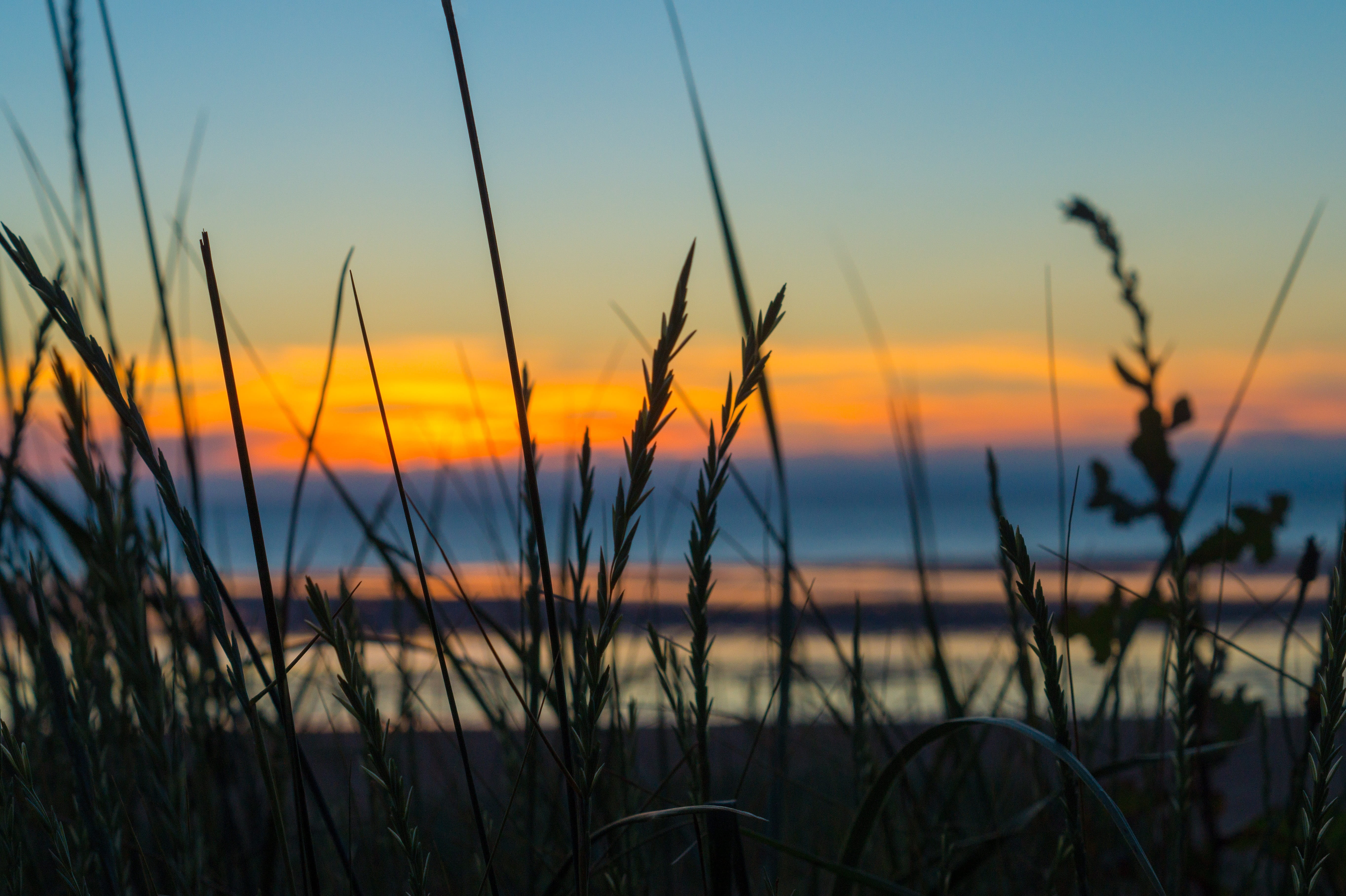 sunset, sky, seashore, clouds, mood, evening, dusk, landscape