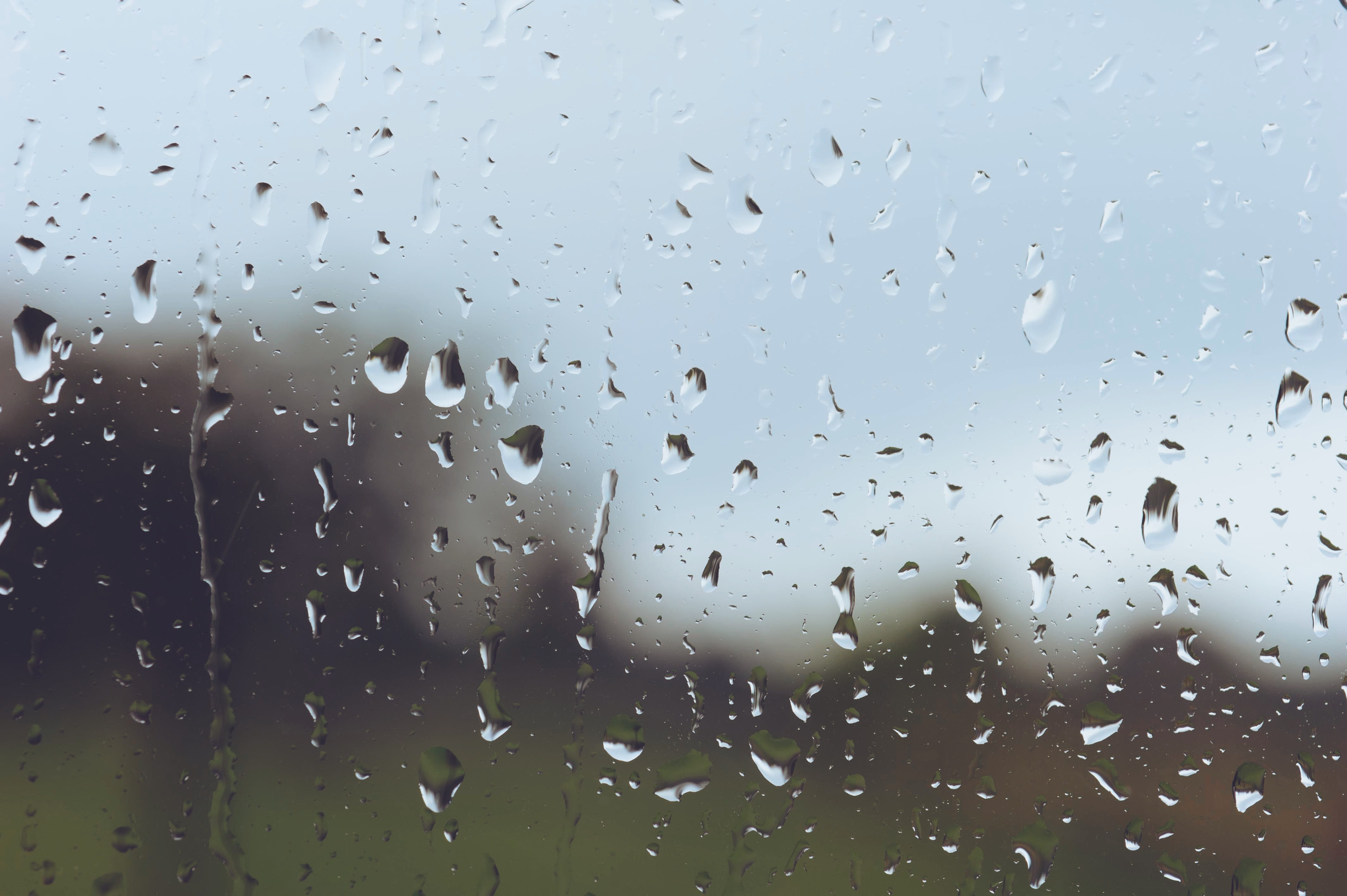 rain, drop, wet, water, window, glass - material, transparent