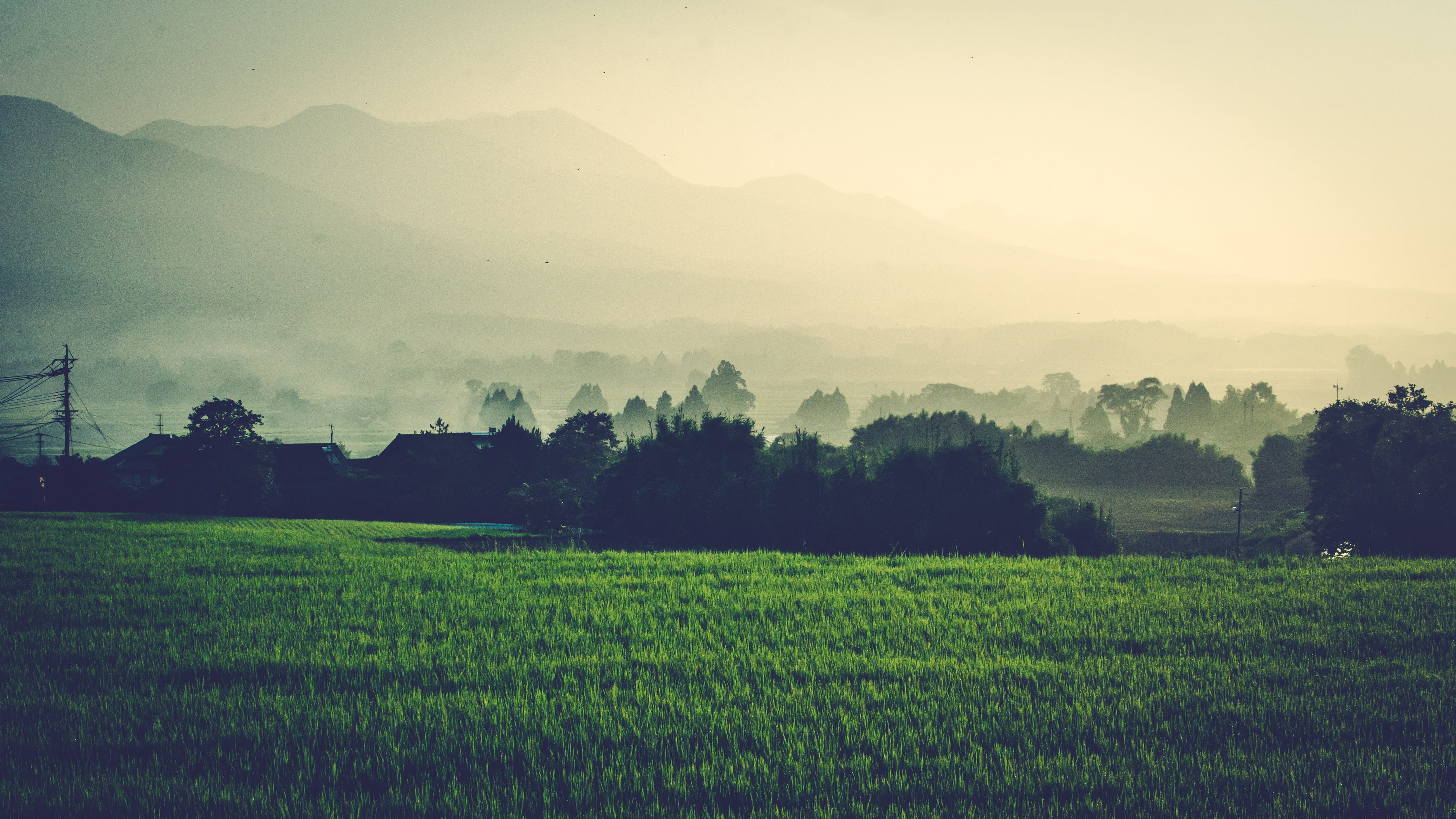 japan, kumamoto, aso, cloud, natural, fog, rice, morning, green