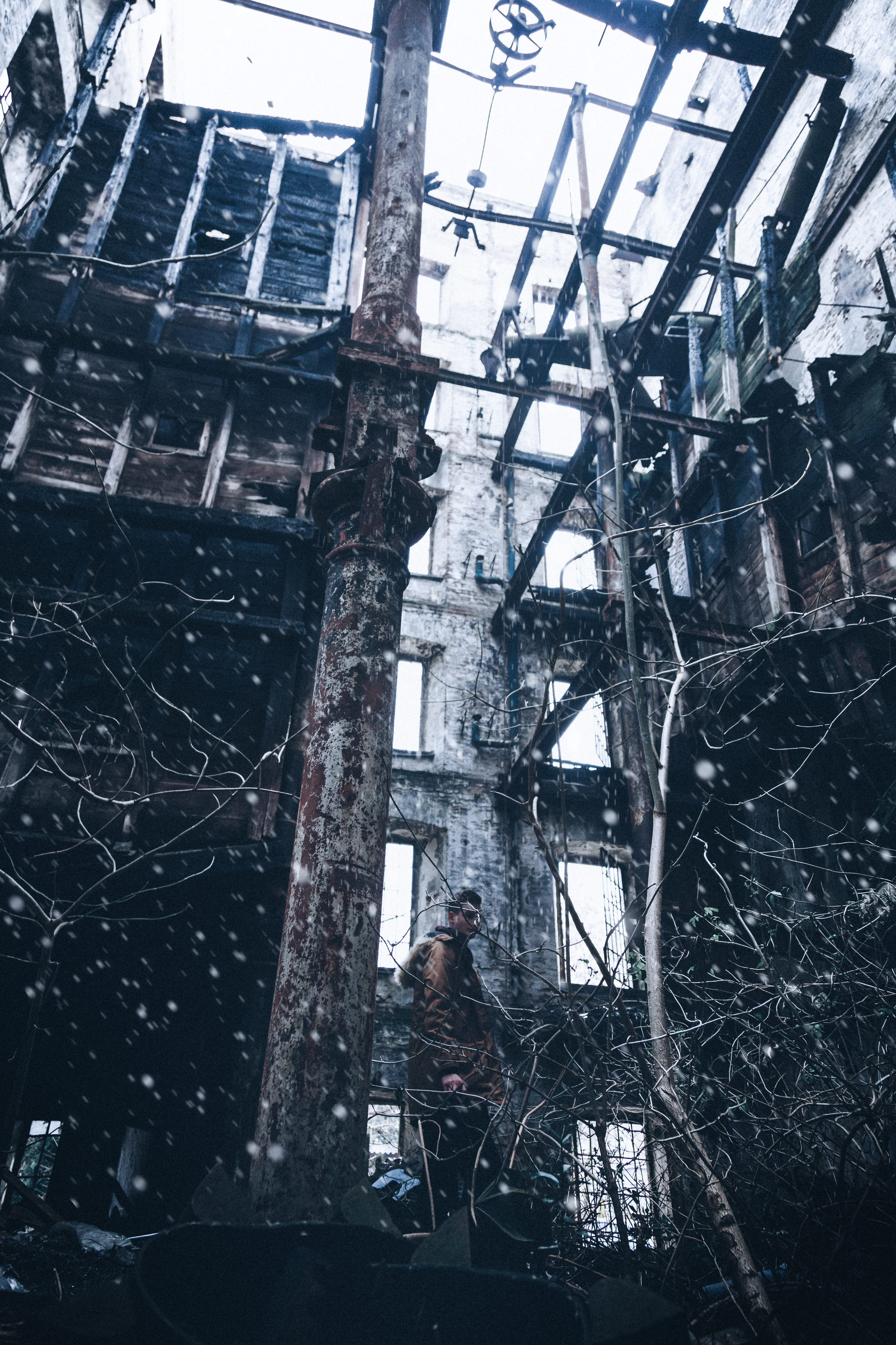 brown no leaf plant, architecture, built structure, damaged, abandoned
