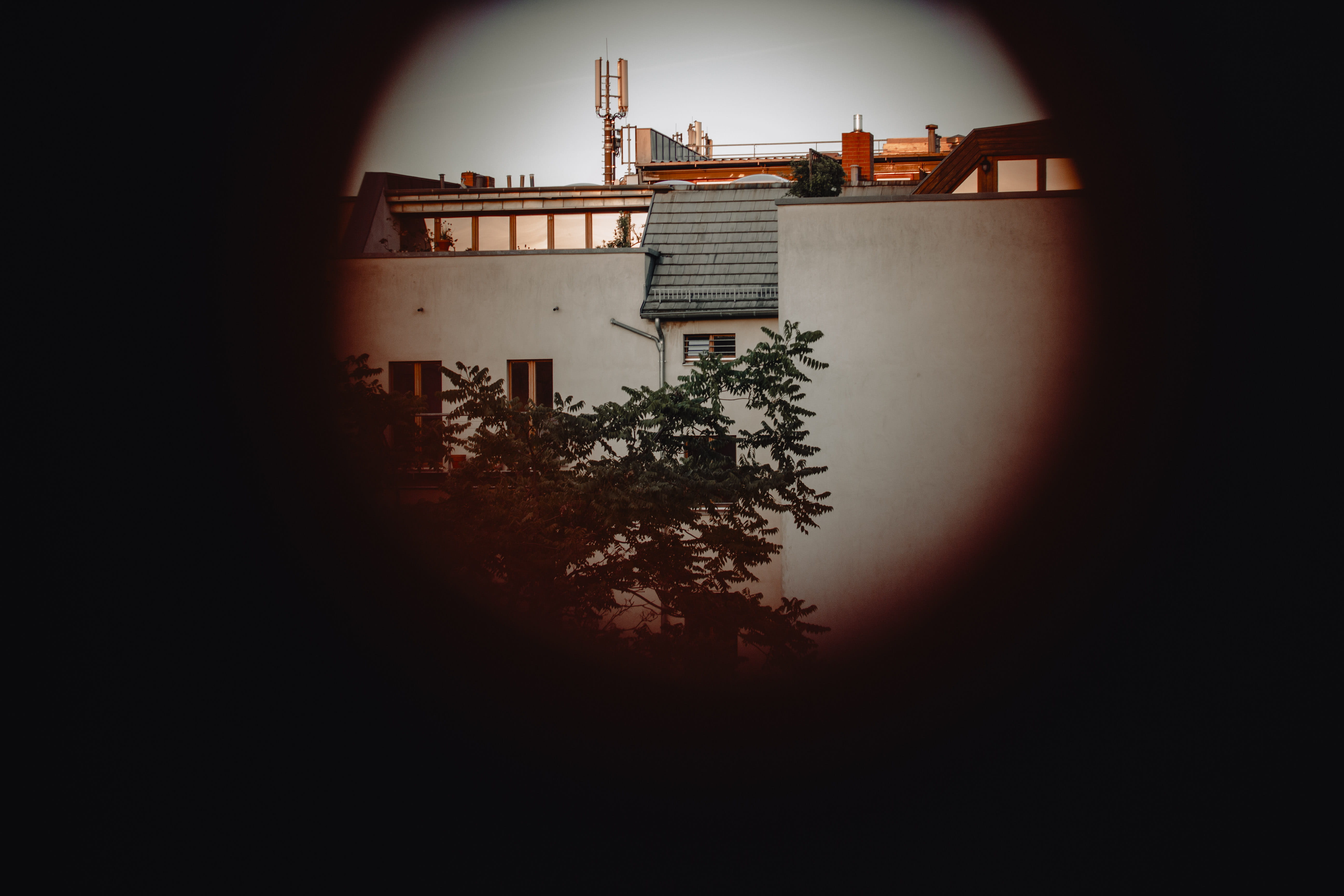 green-leafed trees beside house, window, sphere, mirror, building