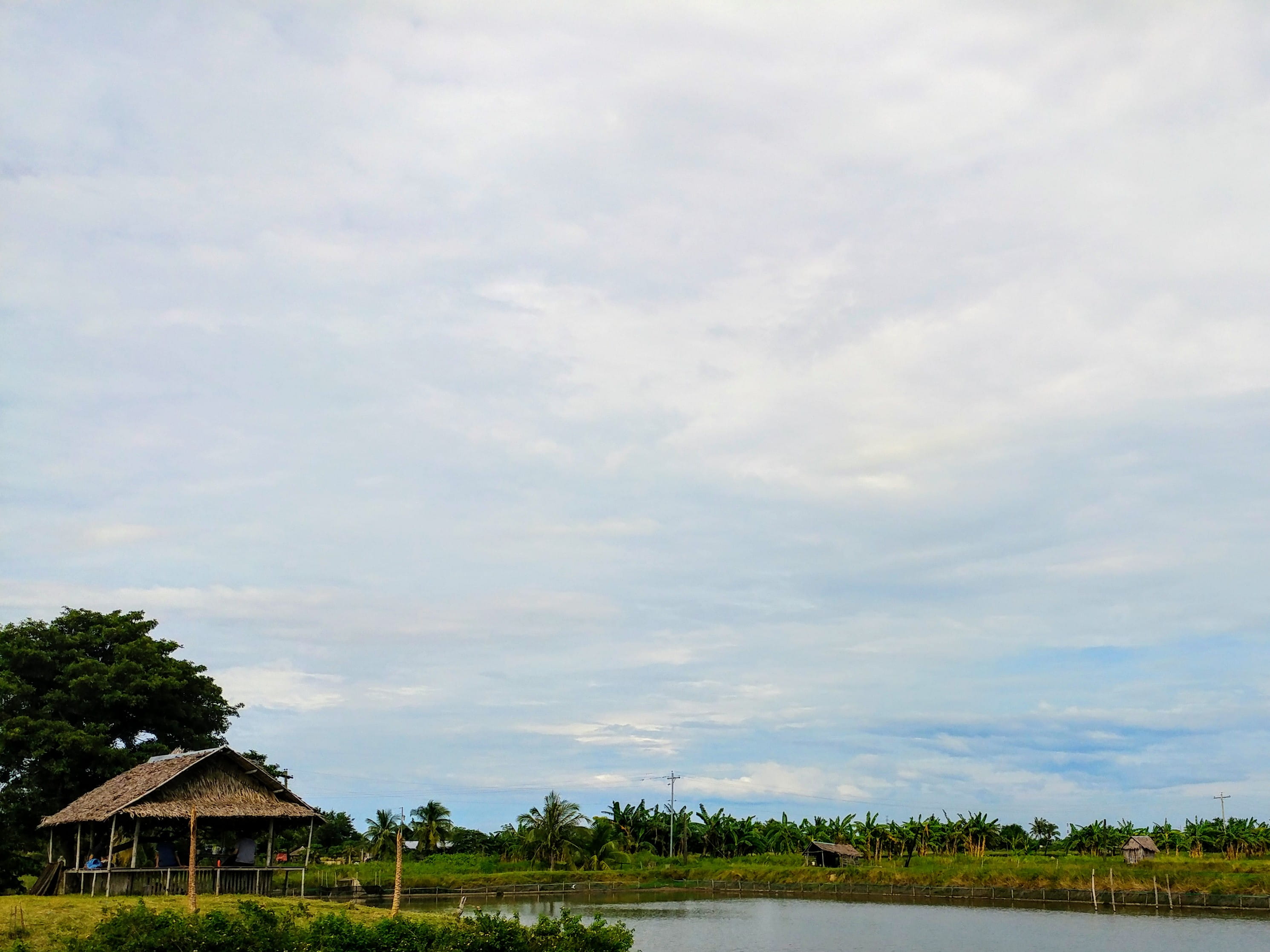 philippines, bacolod, cloud - sky, built structure, plant, tree