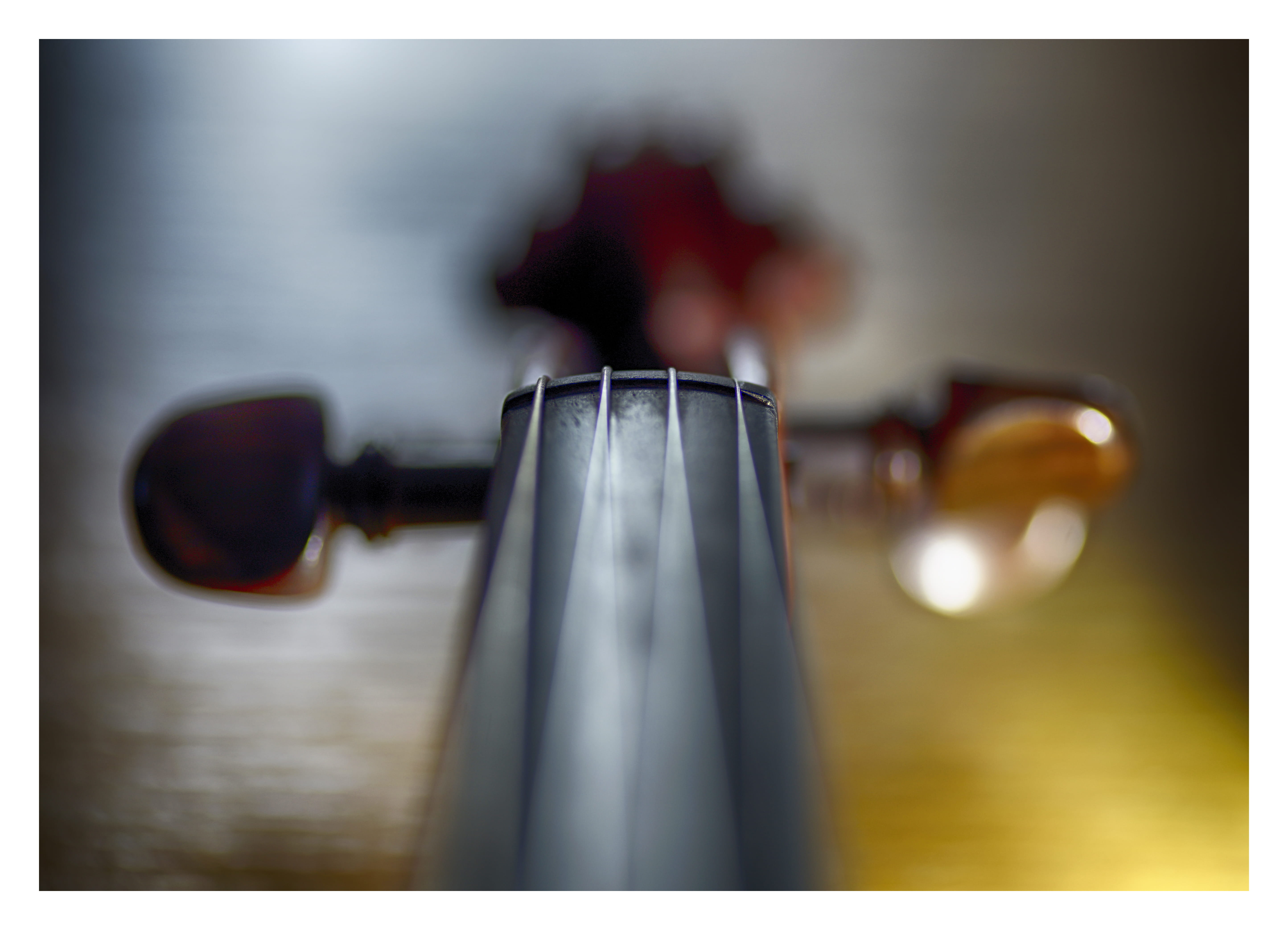 brown string instrument, transfer print, auto post production filter