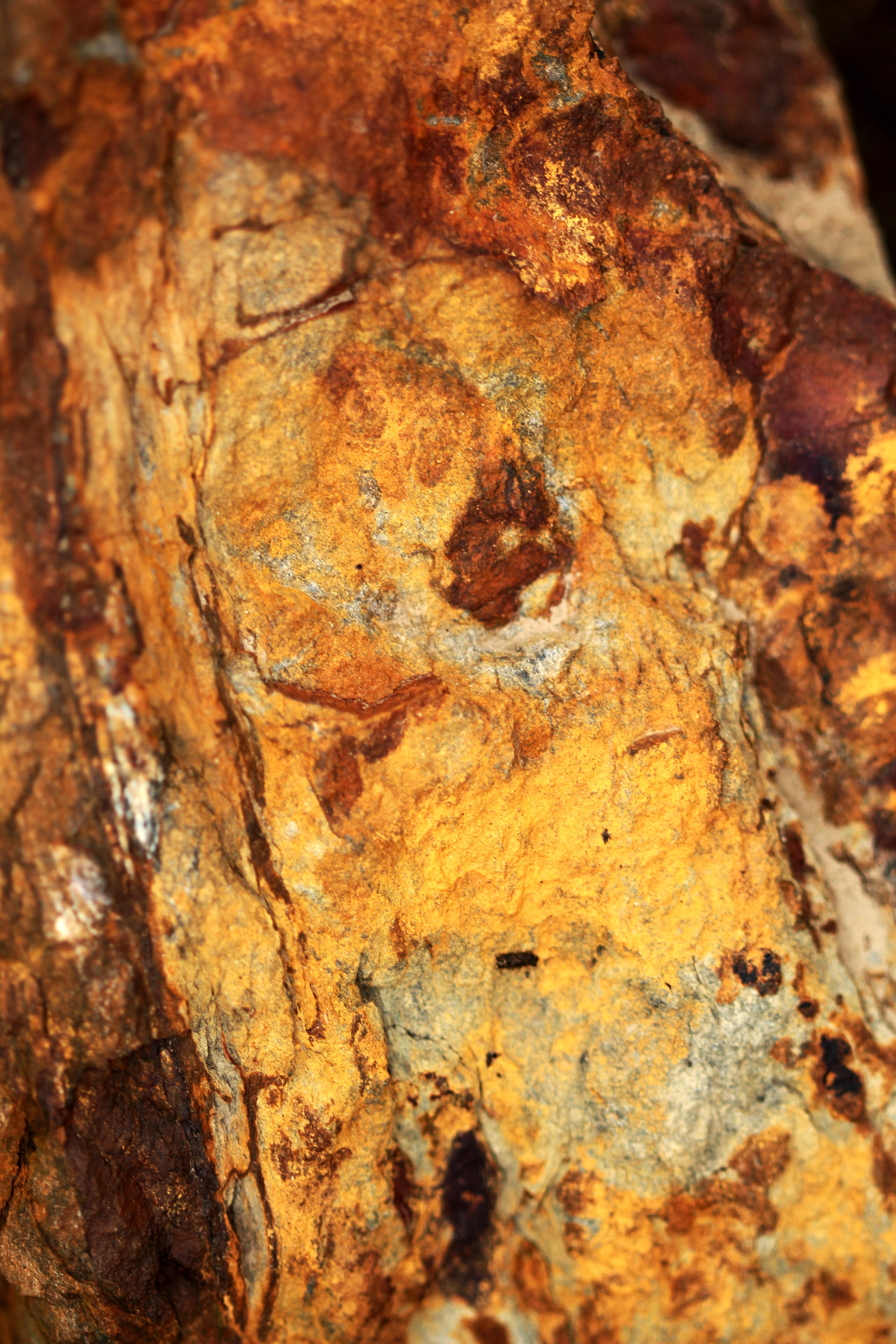 stone, texture, gold, macro, macro photo, abstraction, brown
