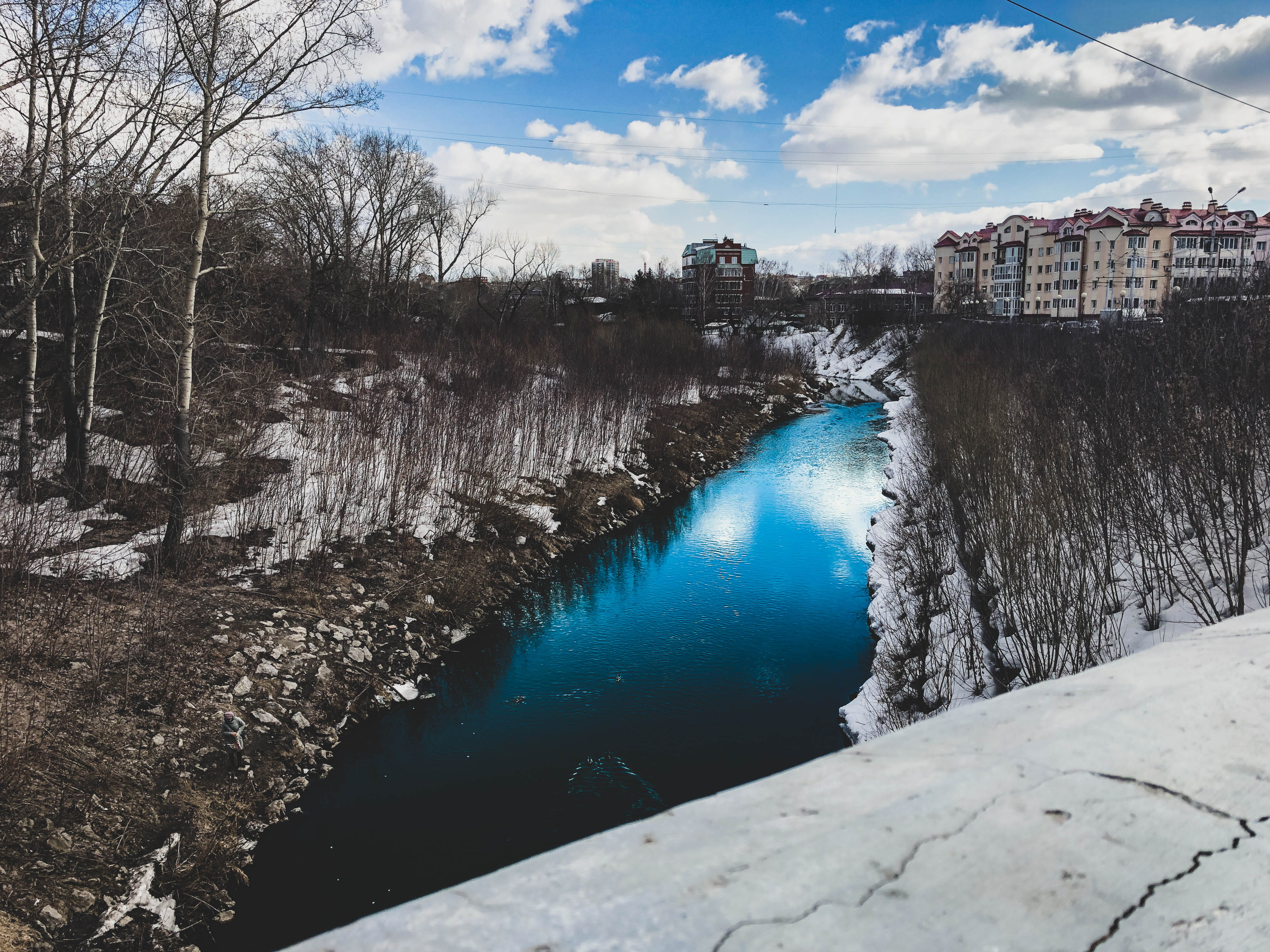 water, sky, tree, nature, cloud - sky, bare tree, river, plant
