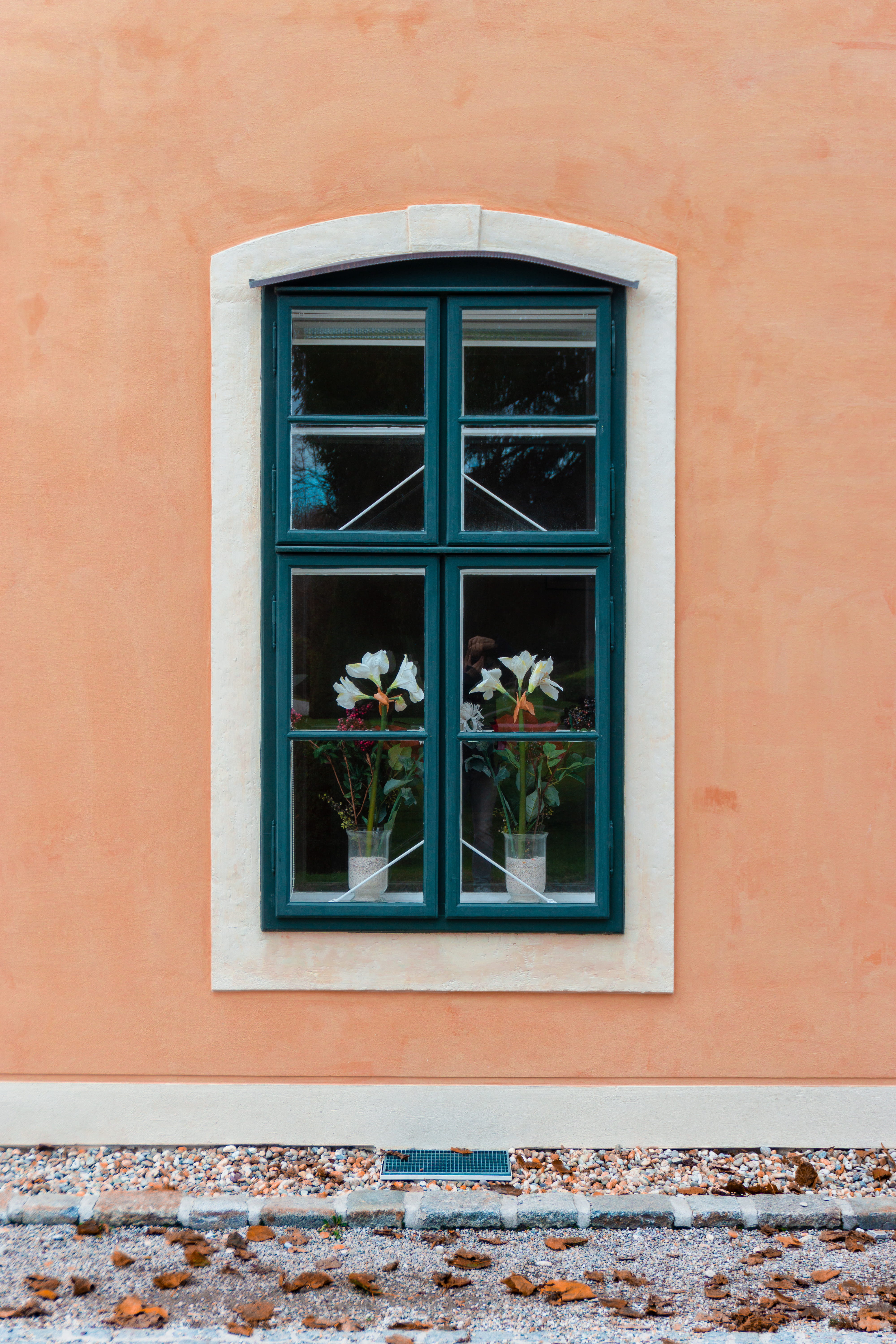 closed windows, architecture, built structure, building exterior
