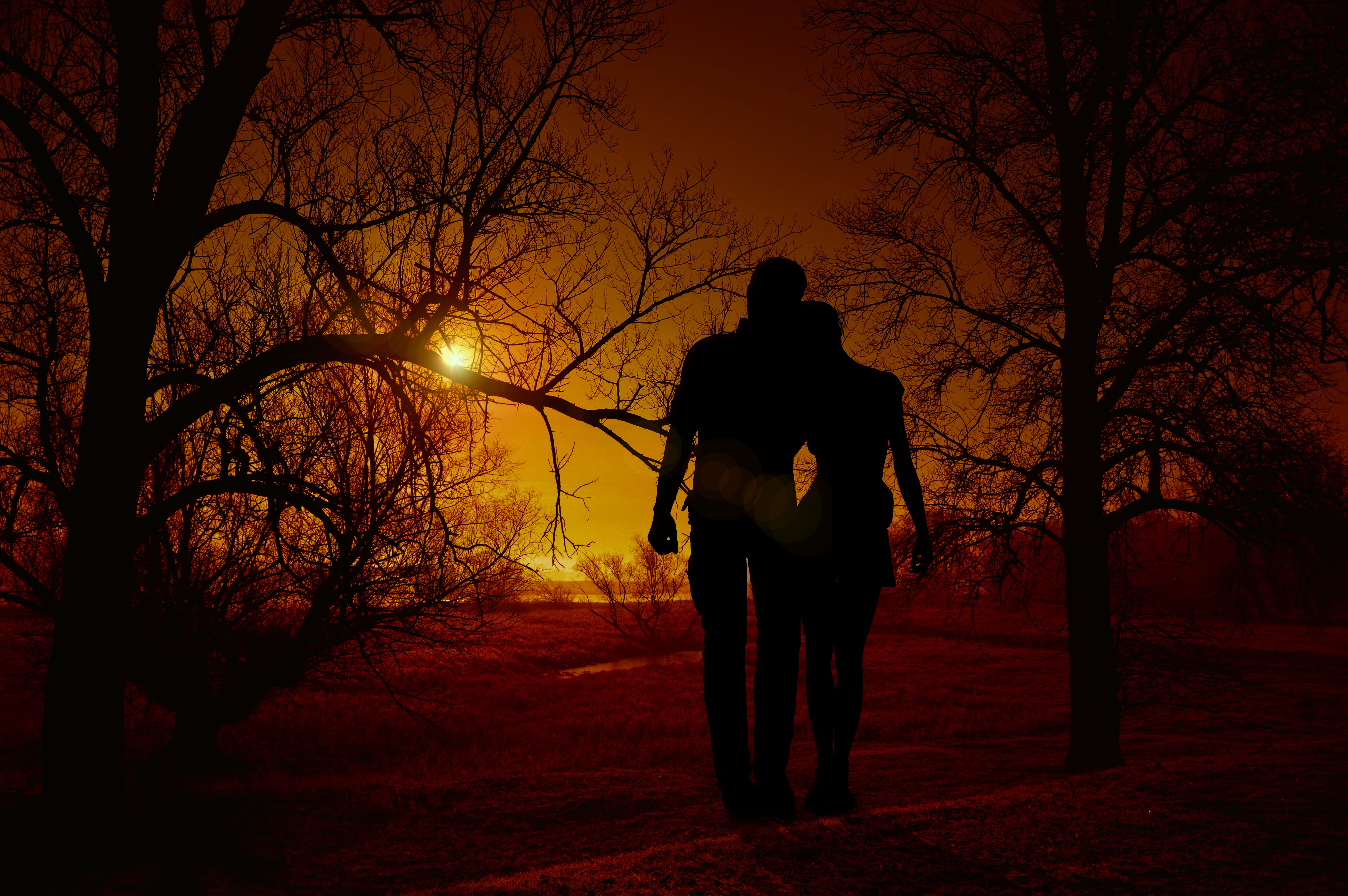 sunset, pair, romantic, love, relationship, evening sky, tree
