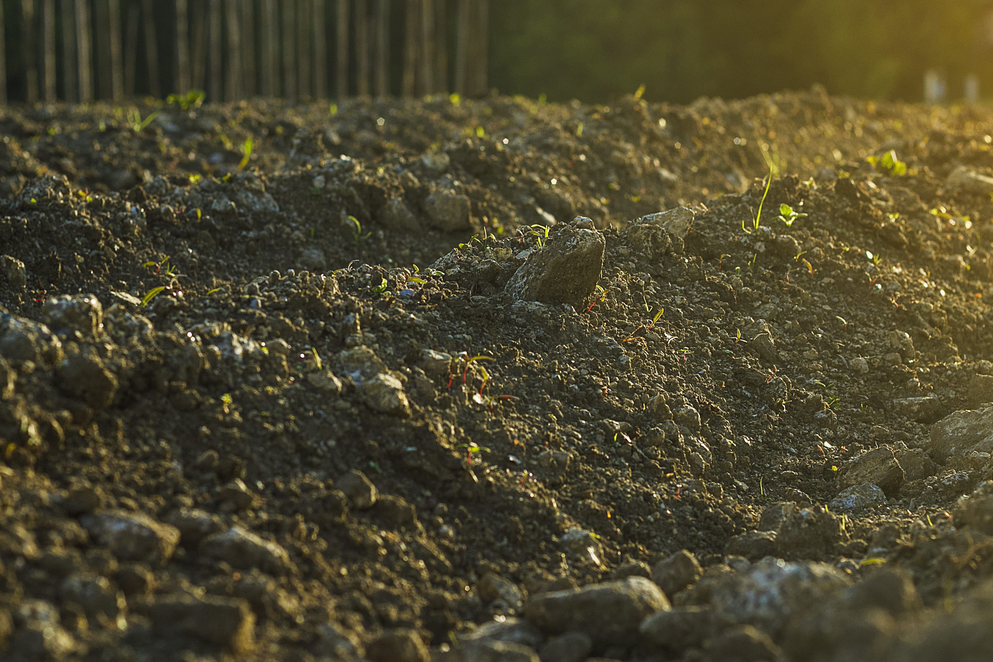 soil, solid, no people, rock, nature, rock - object, day, textured