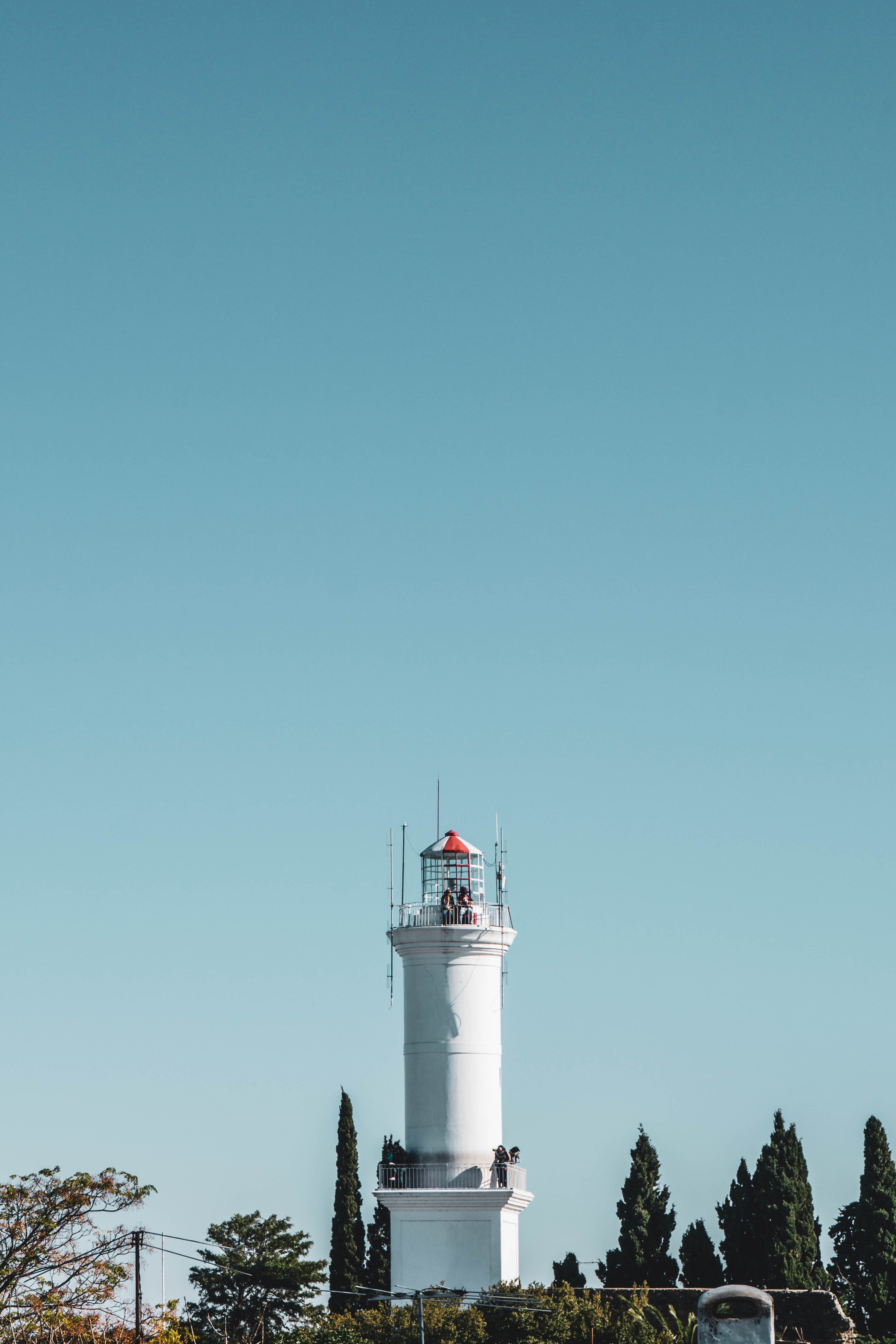 white tower surrounded by trees, sky, clear sky, copy space, built structure