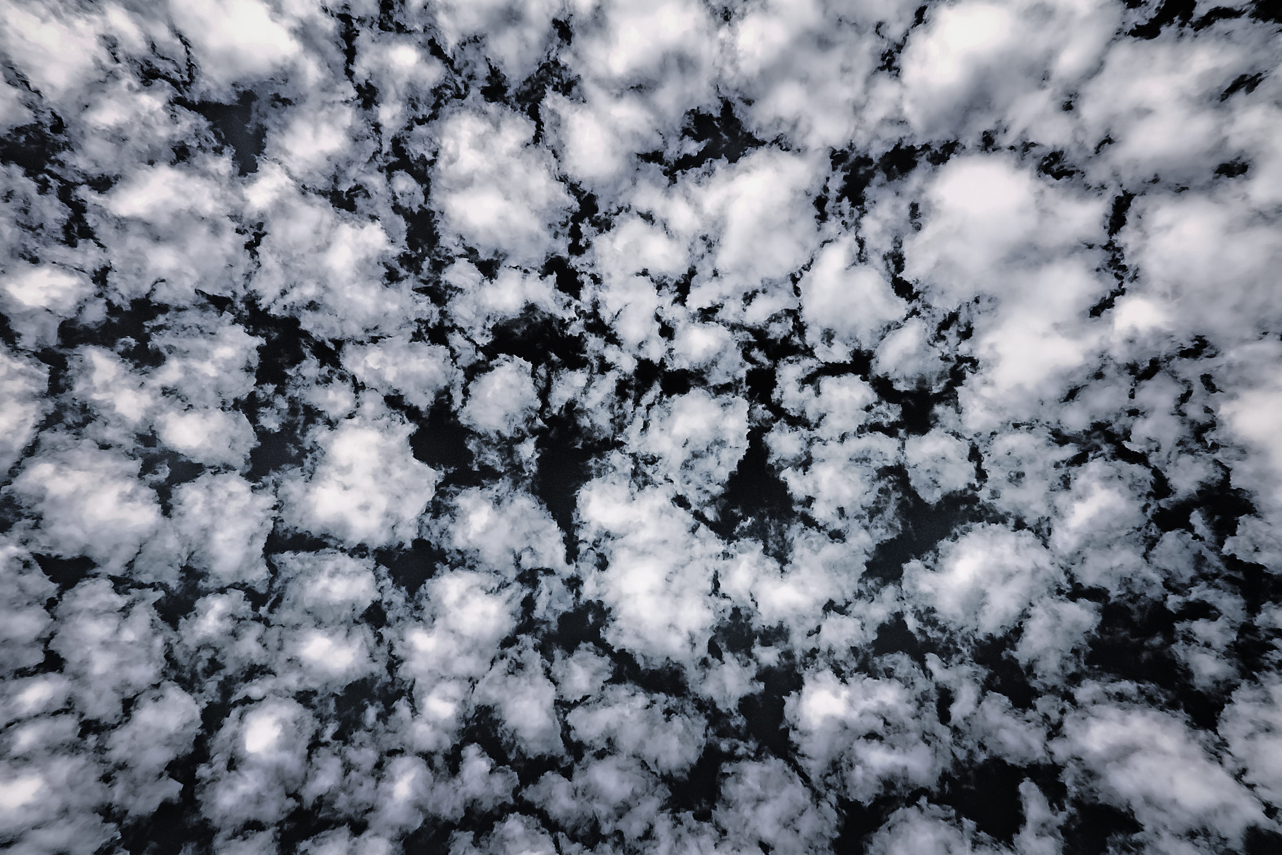 cloud sky, full frame, backgrounds, no people, cloud - sky