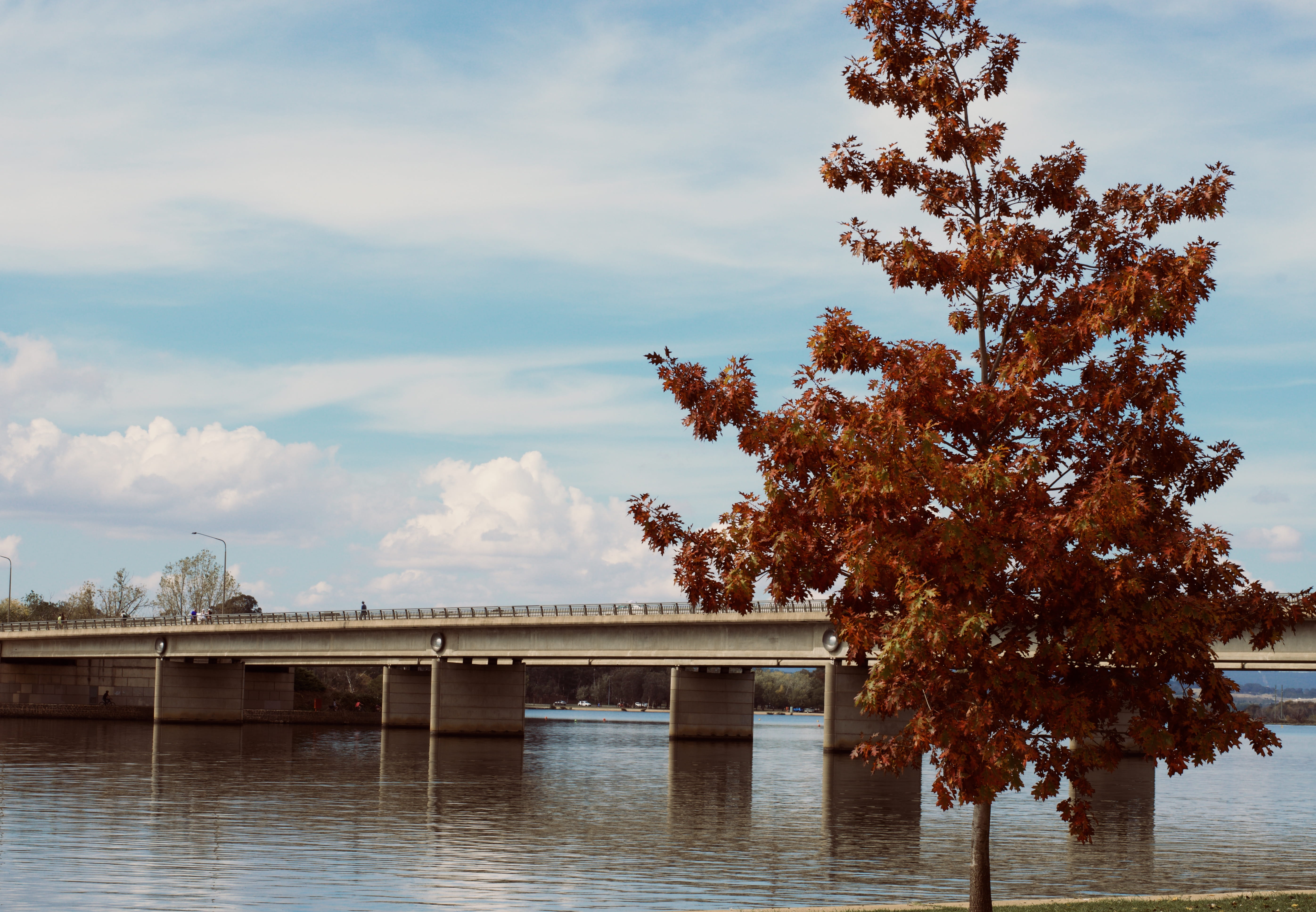 tree, water, plant, sky, cloud - sky, built structure, architecture