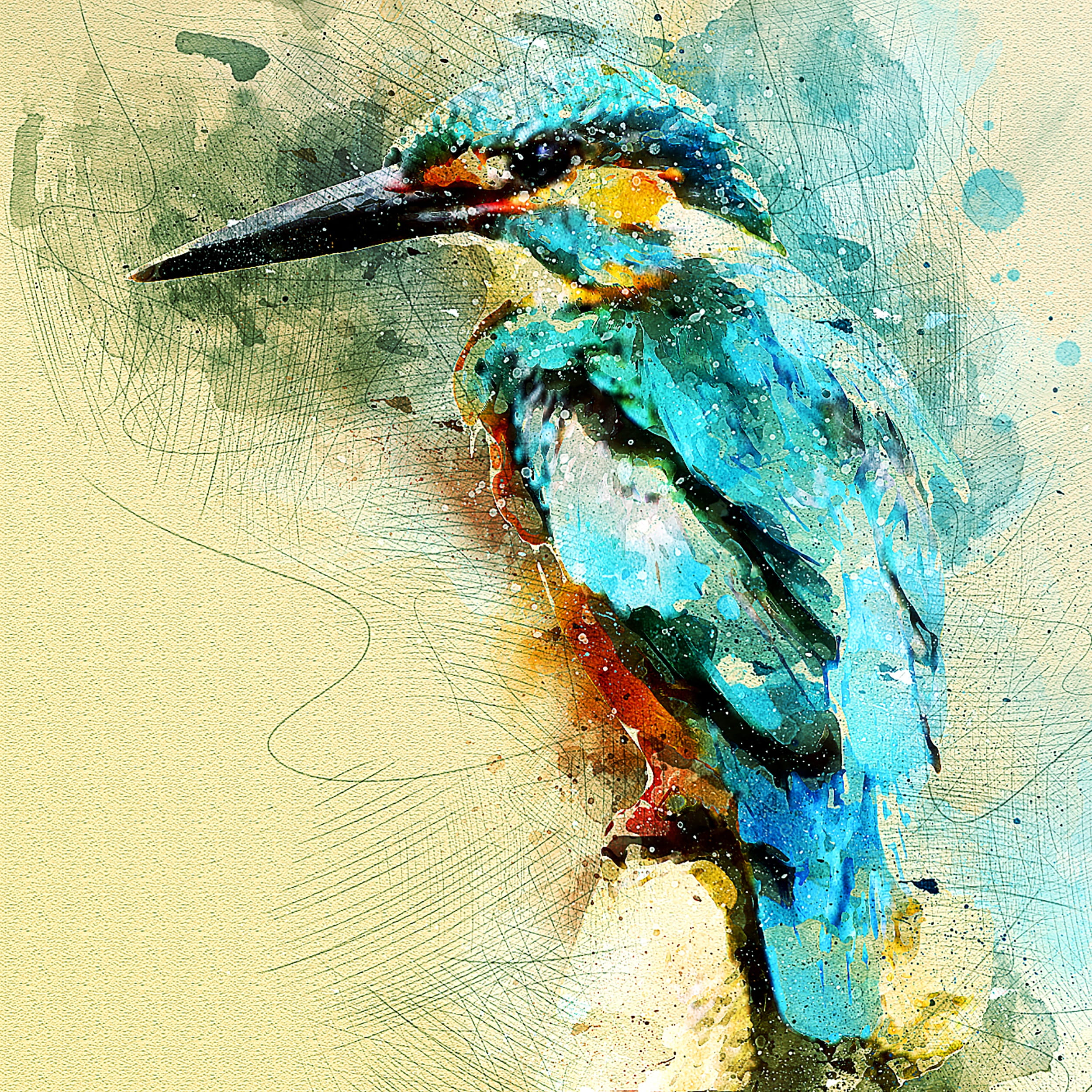 kingfisher, bird, wildlife, macro, closeup, portrait, colorful