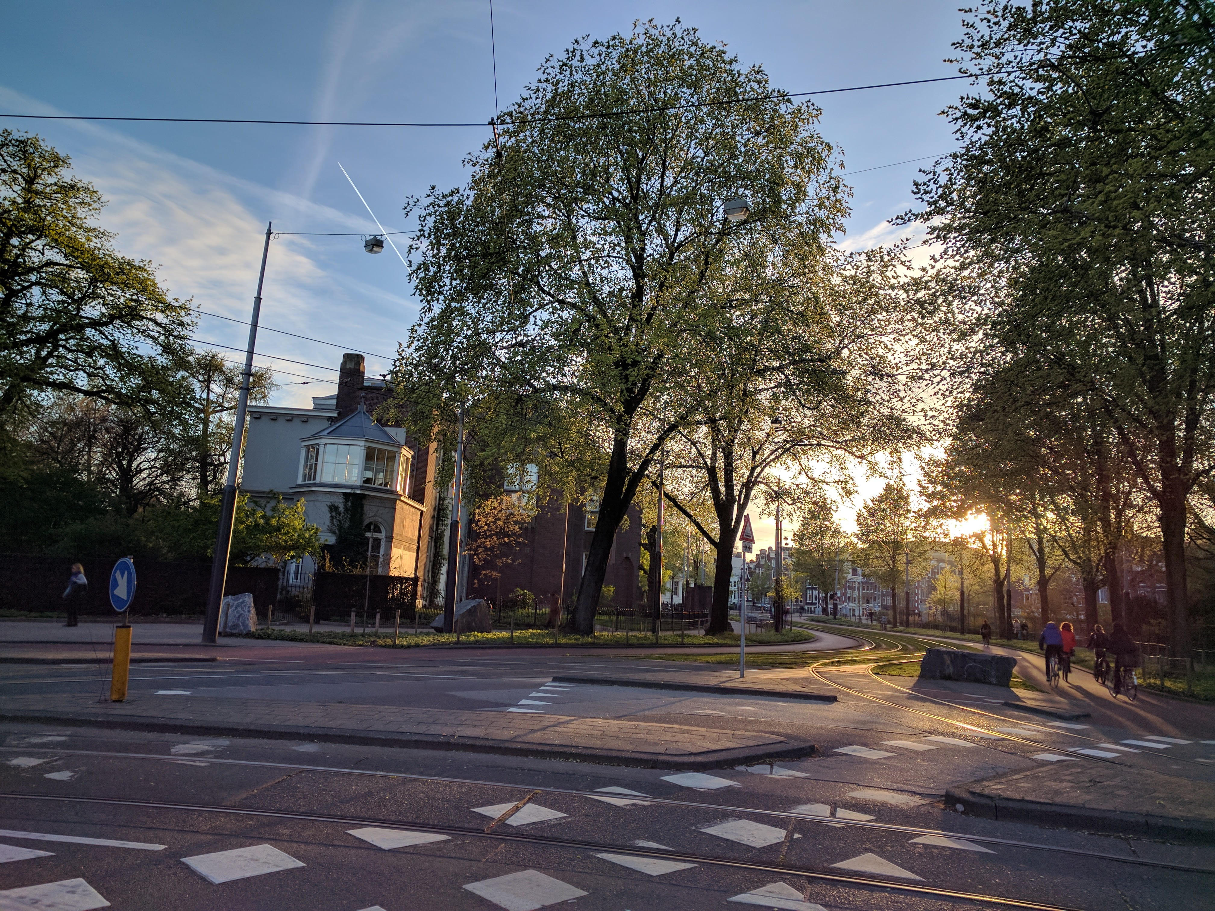 netherlands, amsterdam, tree, plant, architecture, built structure