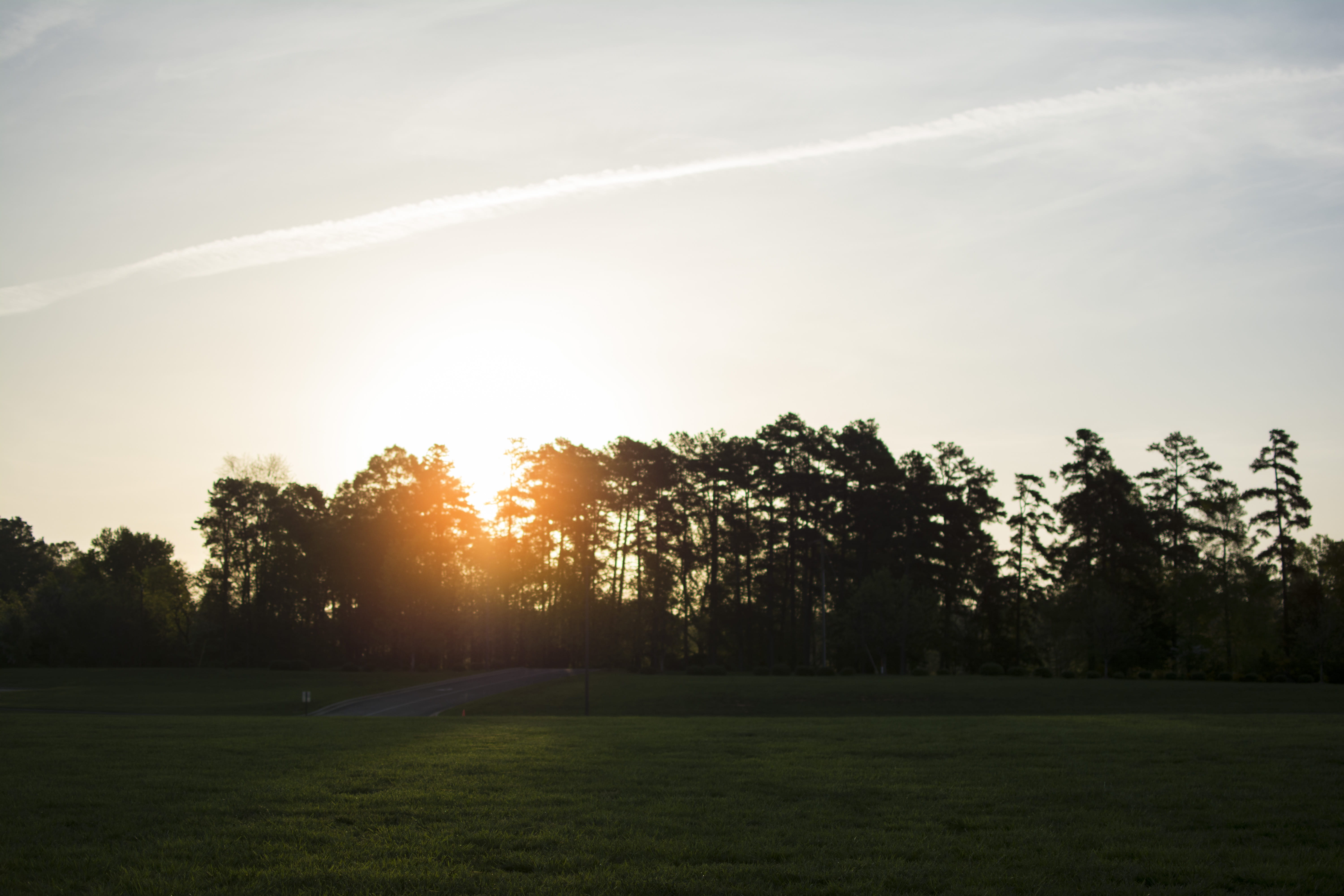 trees, sun, sunset, sunrise, outdoors, outside, grass, sky