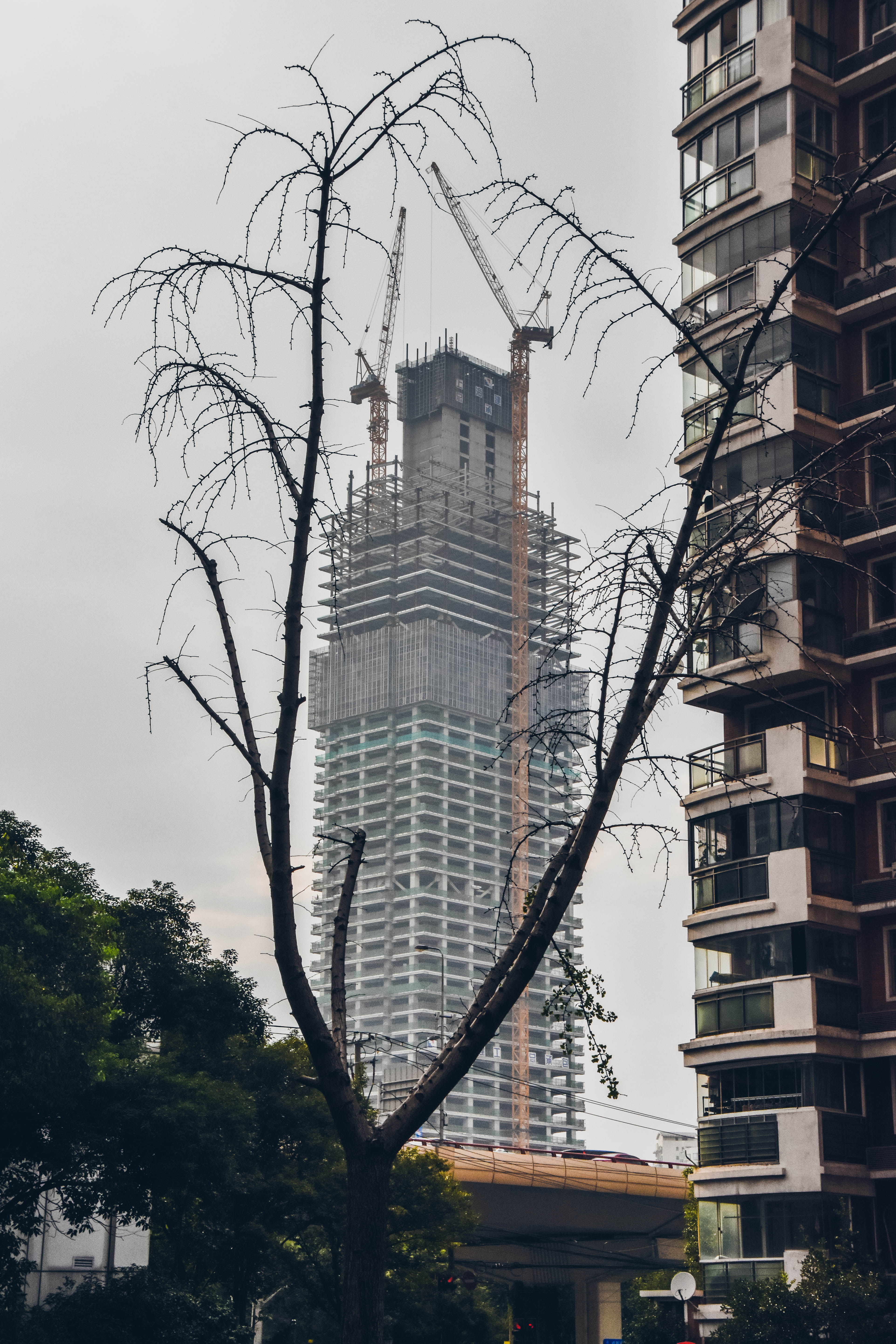 pollution, humanization, deforestation, builing, construction