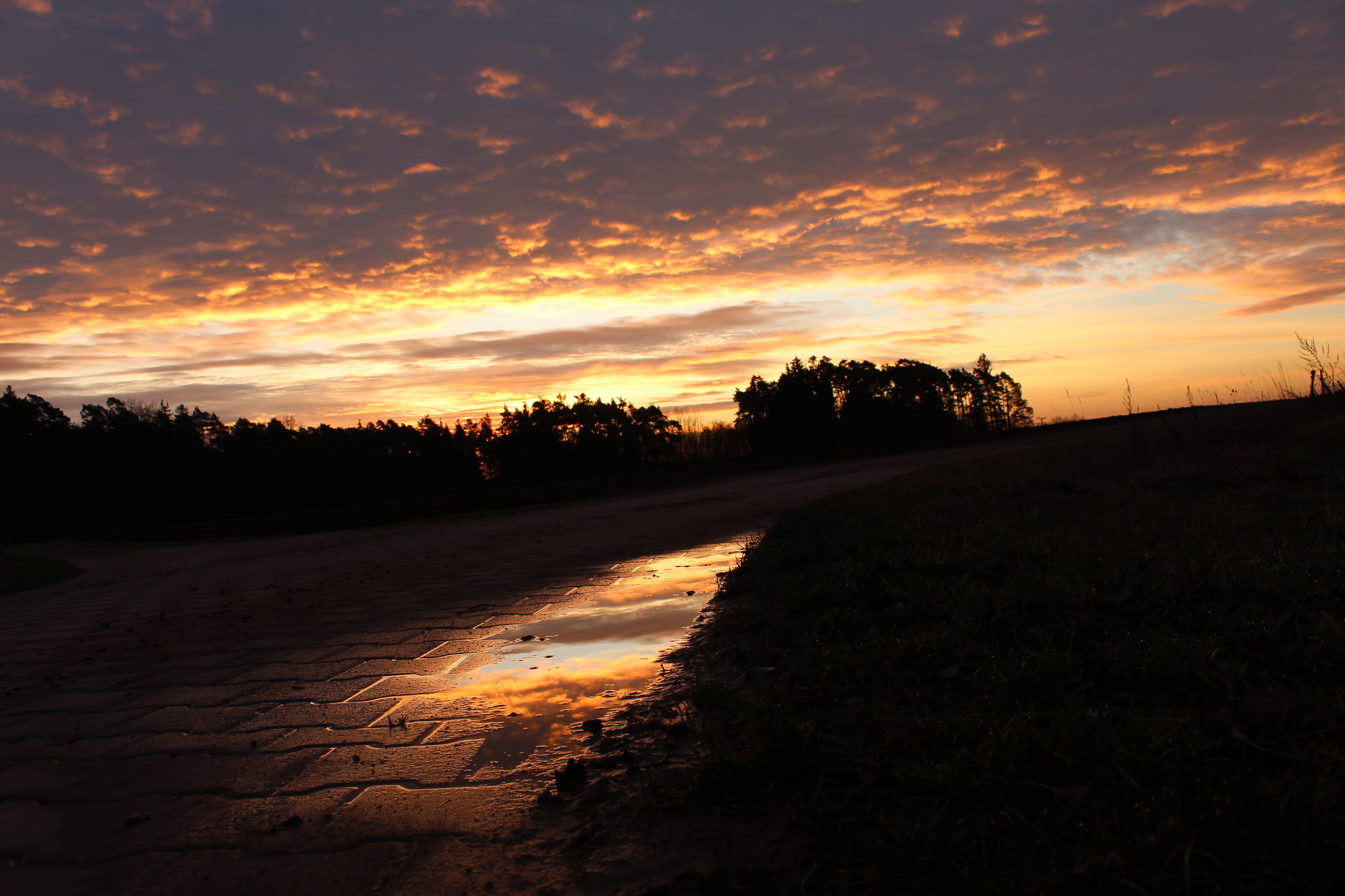 germany, nature, sunset, forest, reflection, sunrise, sky, cloud - sky
