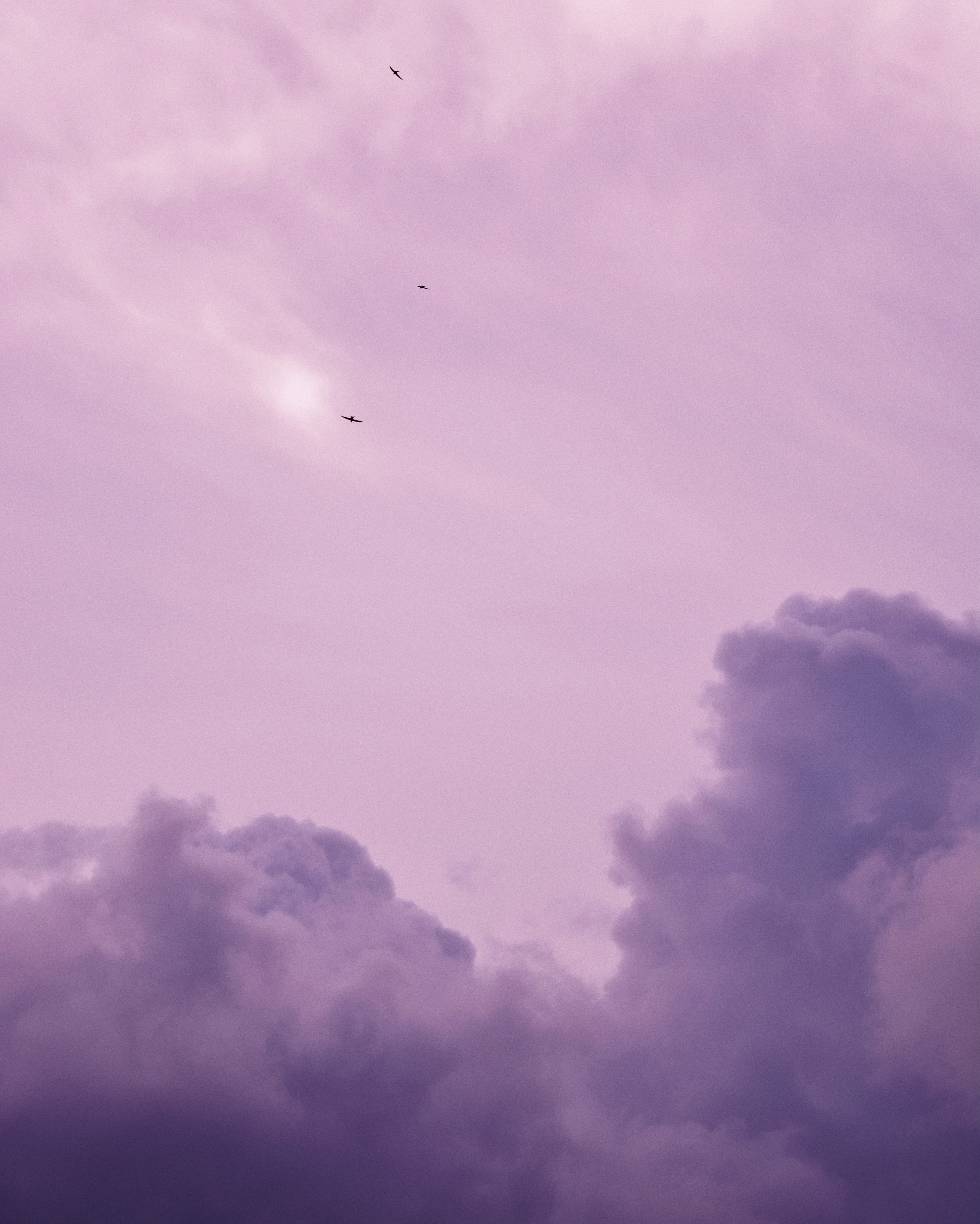 clouds, cloudscape, sky, landscape, sun, glare, fog, birds