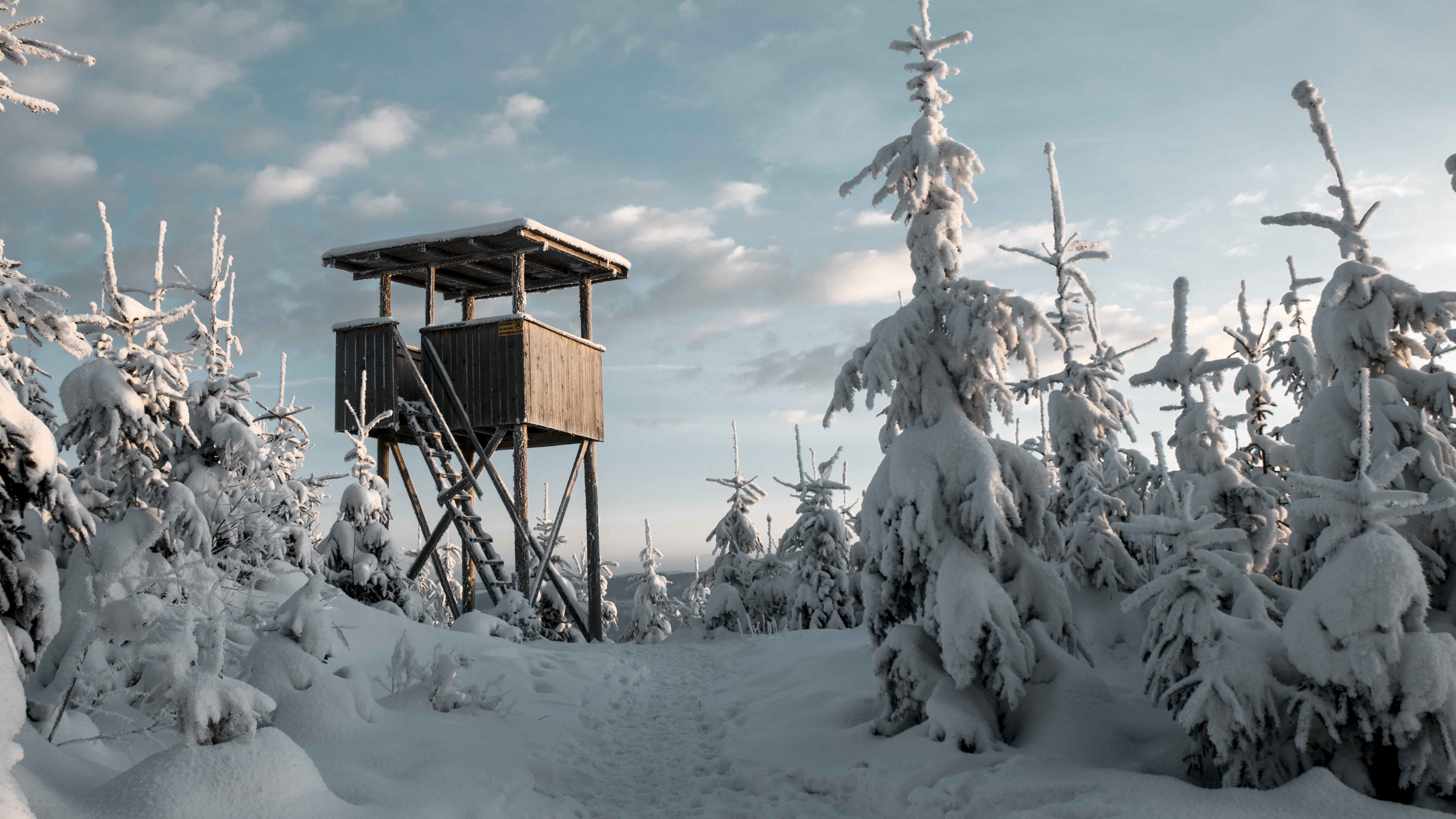 forest, snow, mountain, sky, winter, clouds, landscape, mountains