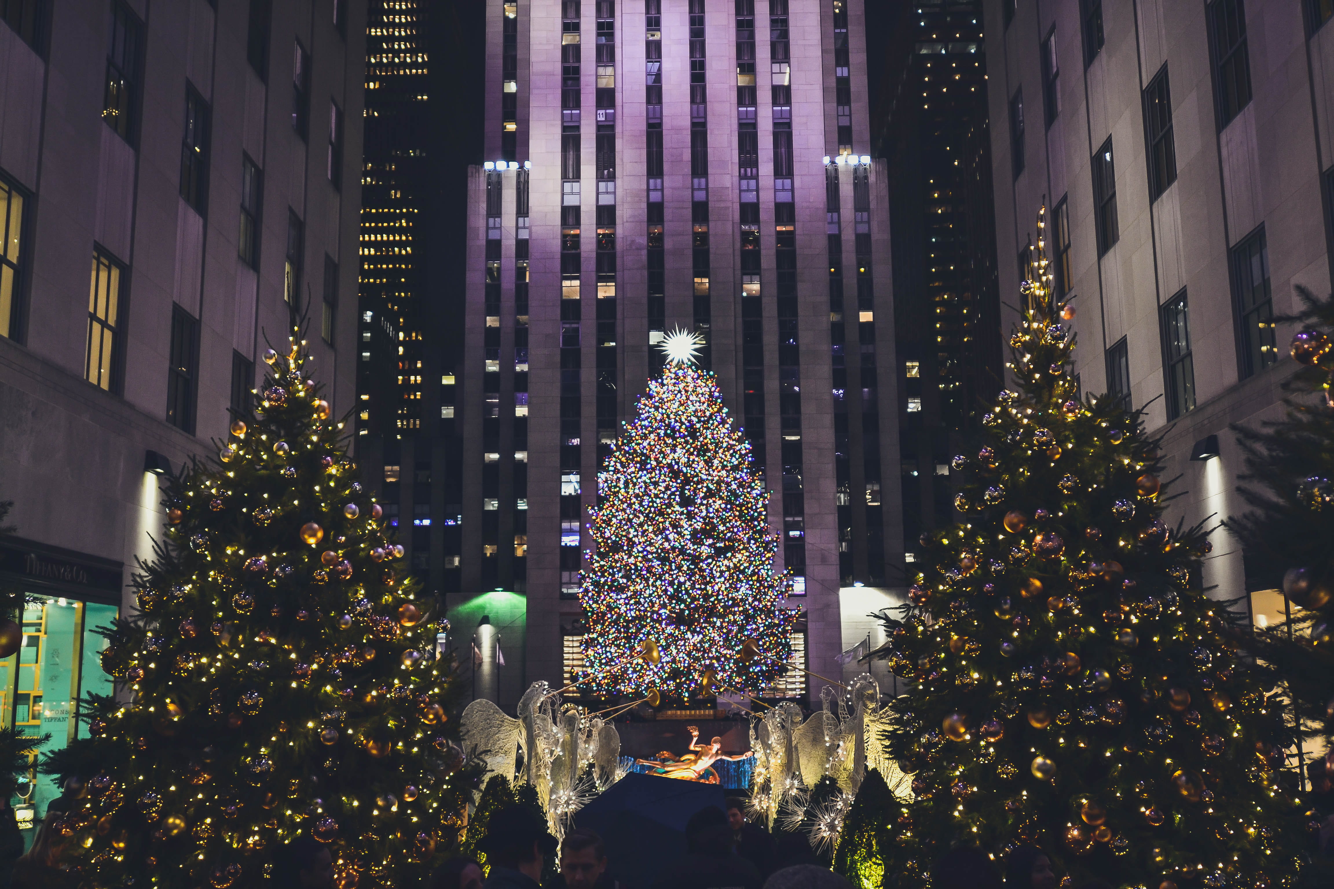 lighted Christmas trees, illuminated, celebration, decoration