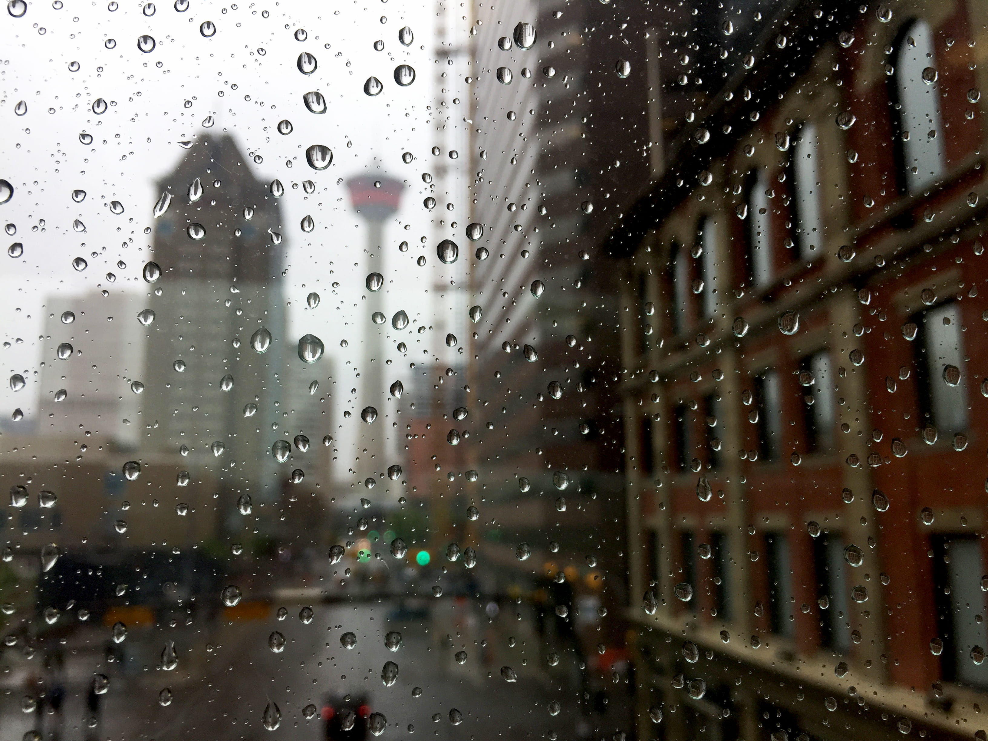 rain drops on clear glass panel, wet, glass - material, window