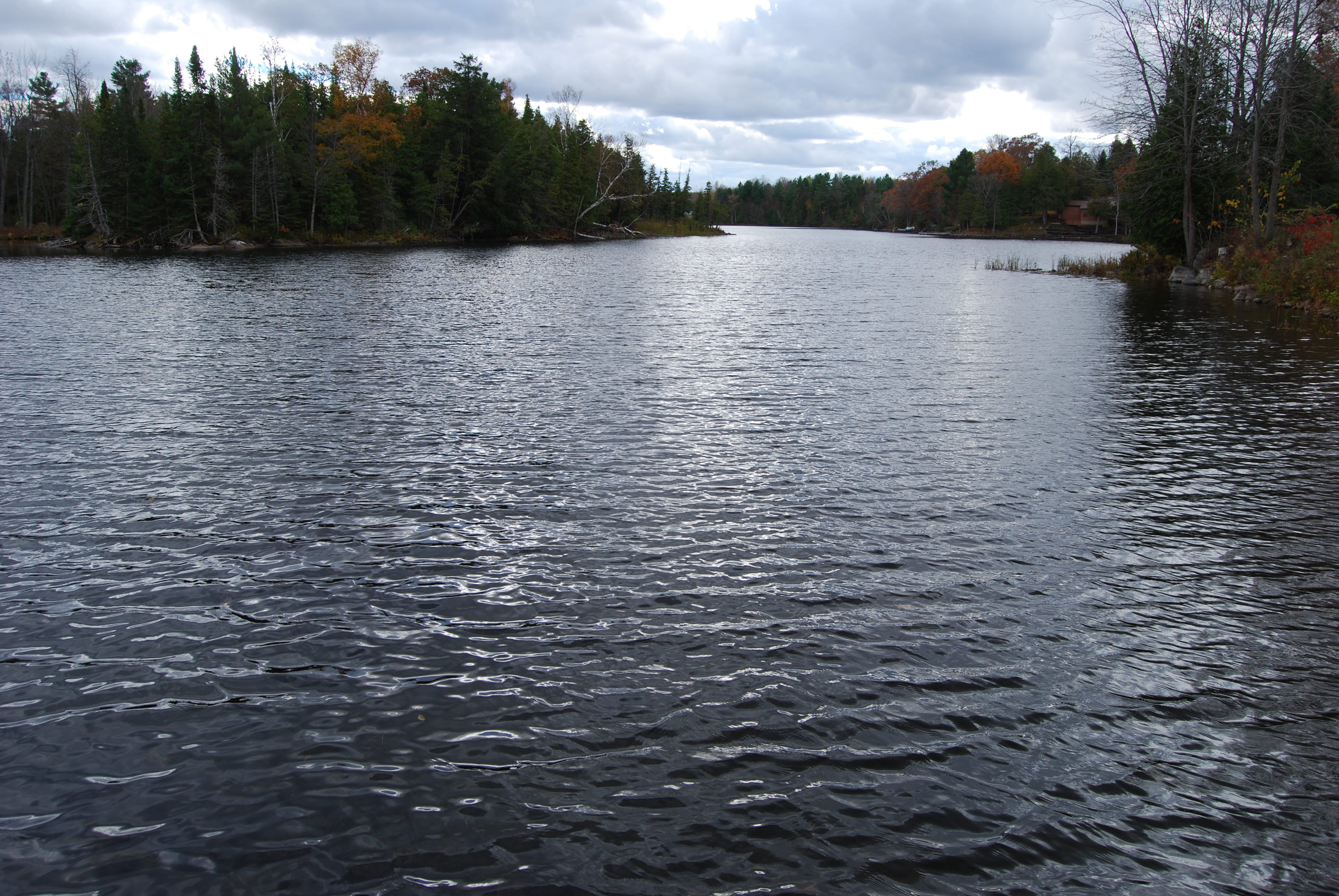 lake, ripples, clouds, reflection, trees, water, tranquility