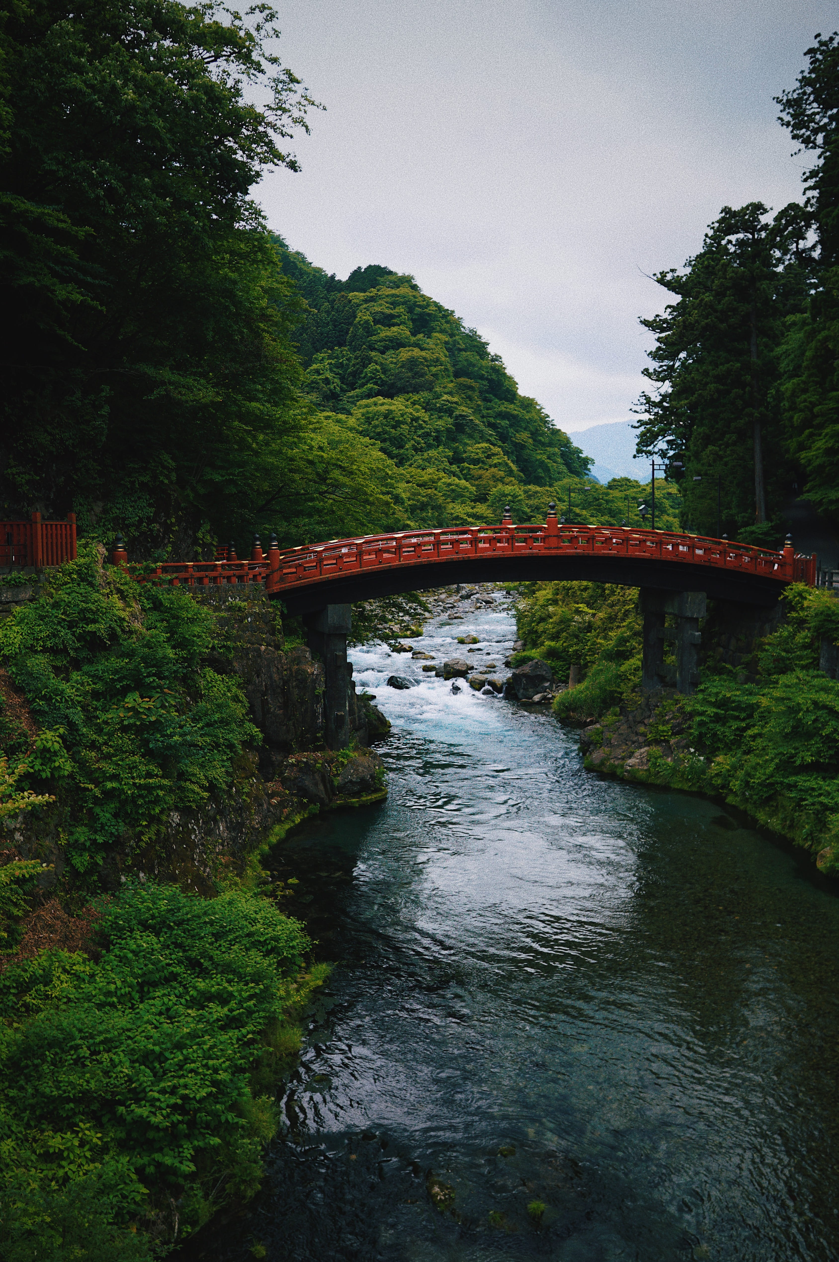 Brown Concrete Bridge Between Trees, architecture, daylight, environment