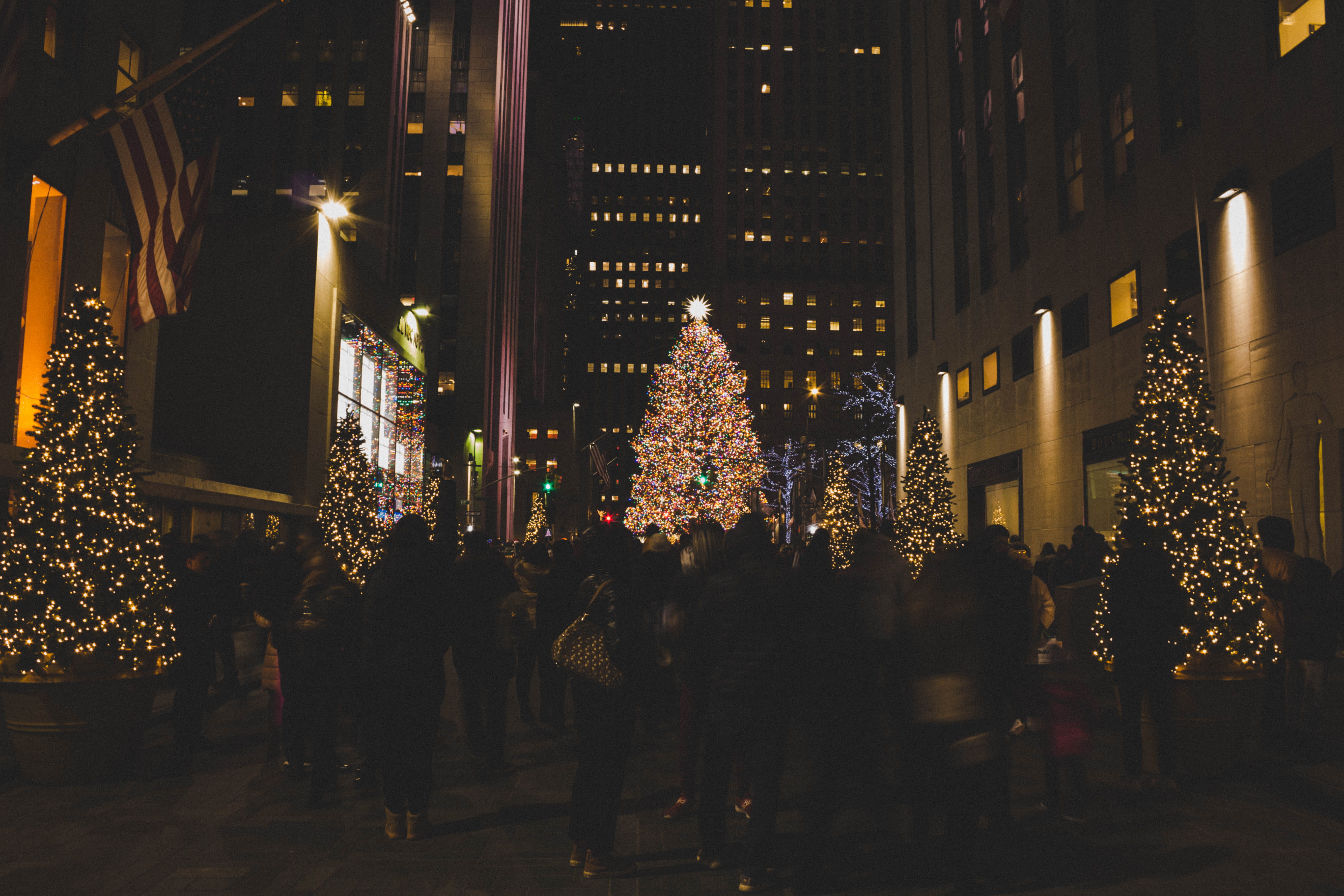 lighted Christmas trees during nighttime, illuminated, decoration