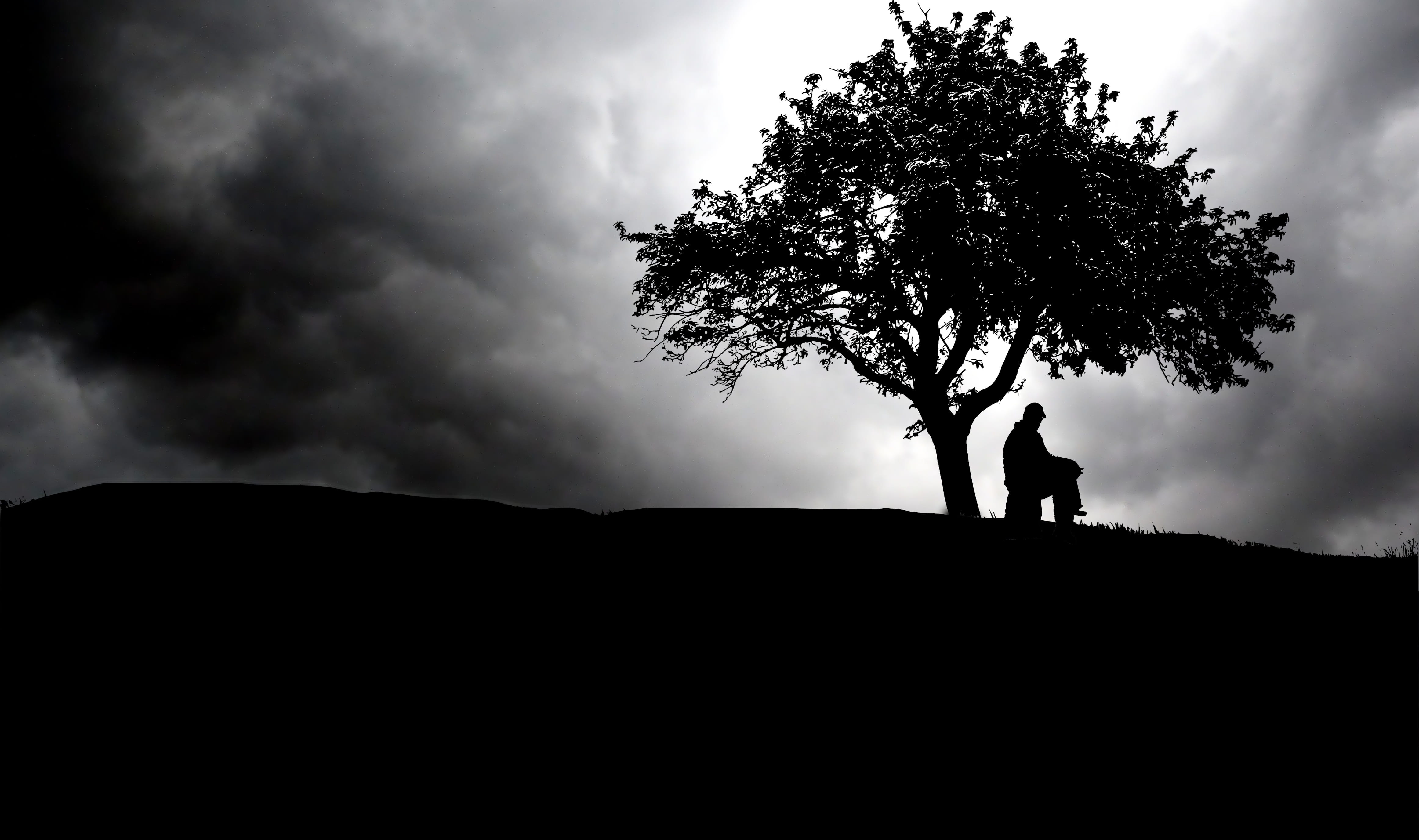 night, cloud, wait, think, tree, sky, dark, landscape, weather