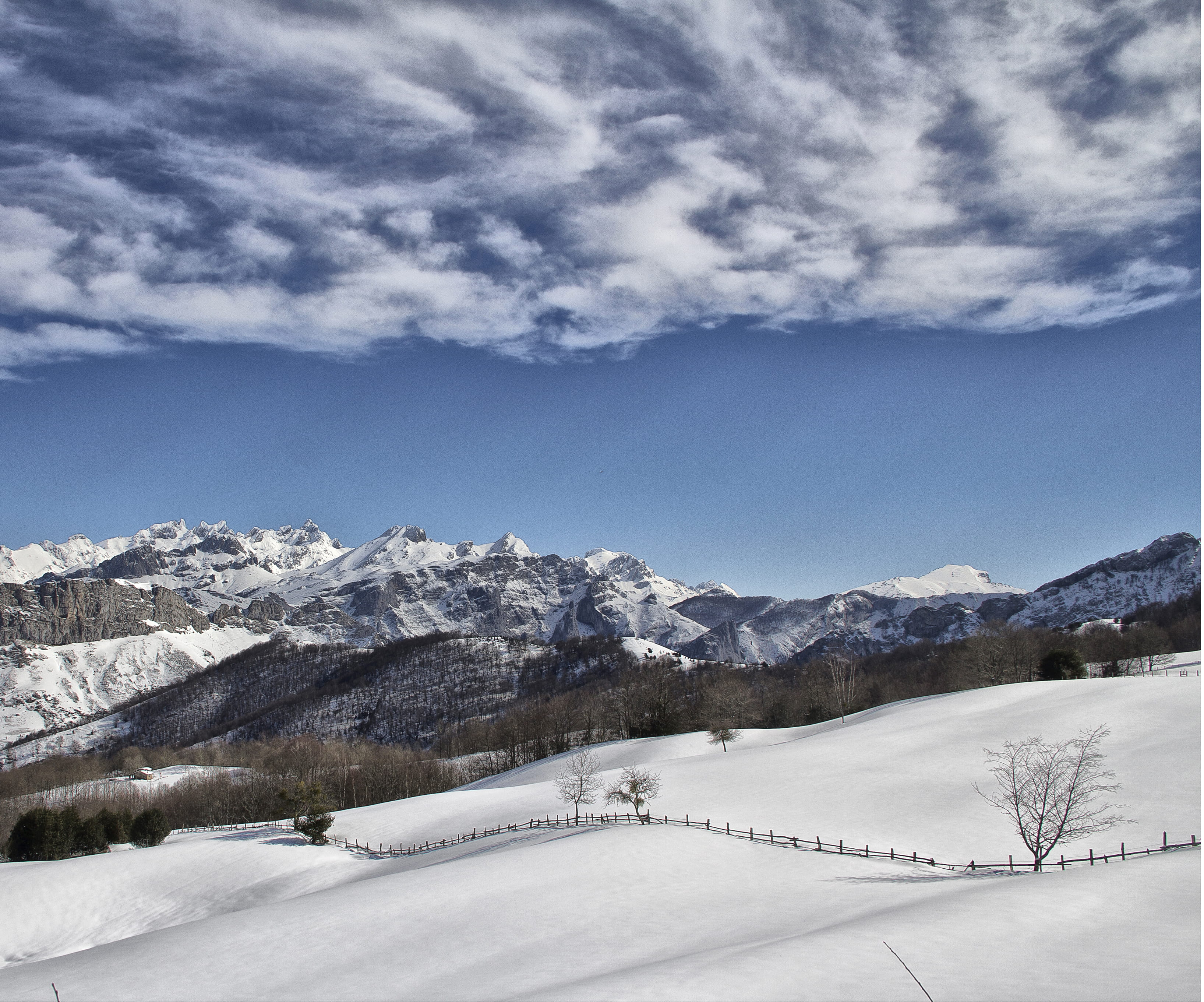 clouds, mountains, snow, winter, forest, sky, cold temperature