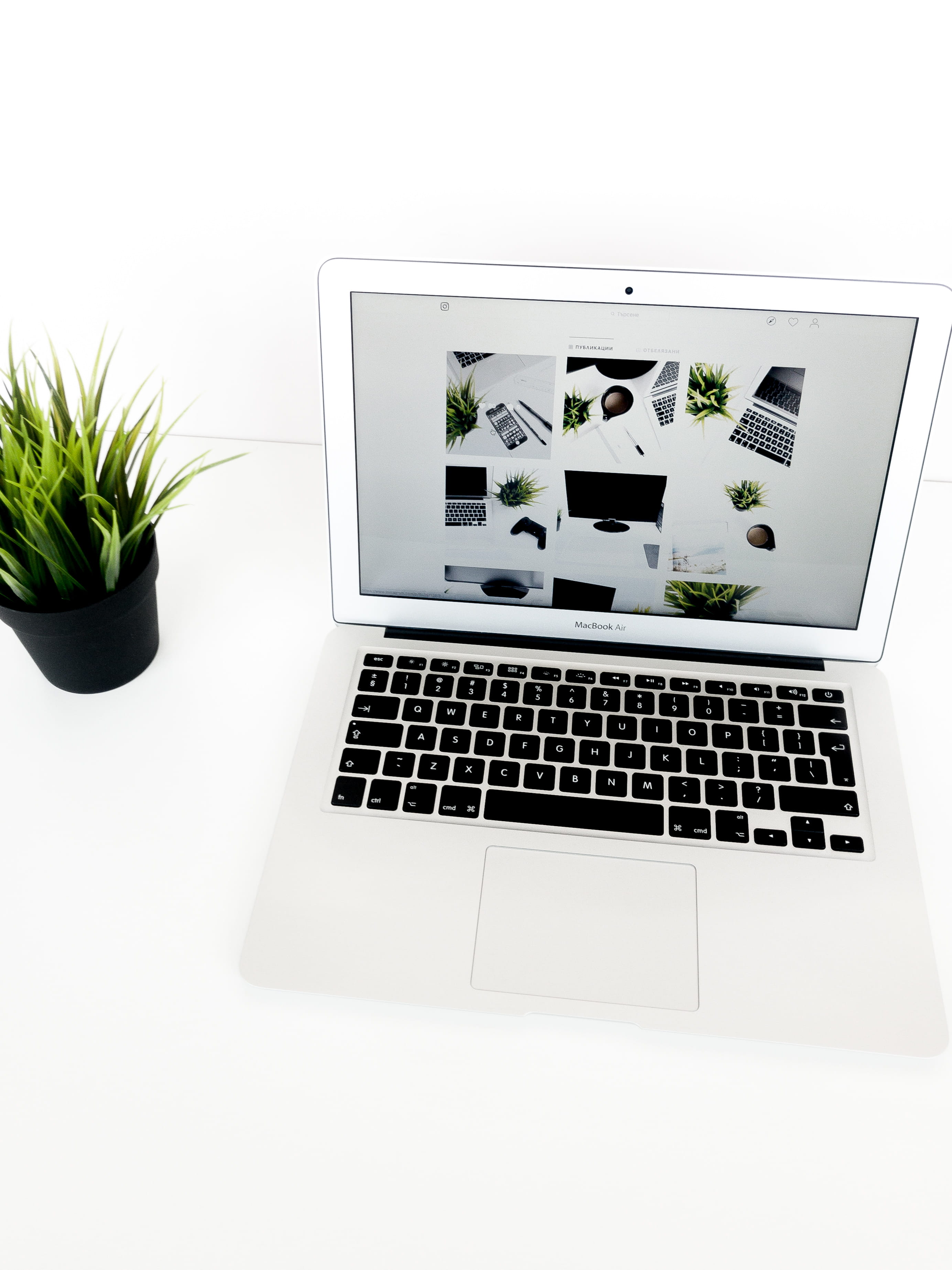 MacBook Air, laptop, technology, computer, plant, communication