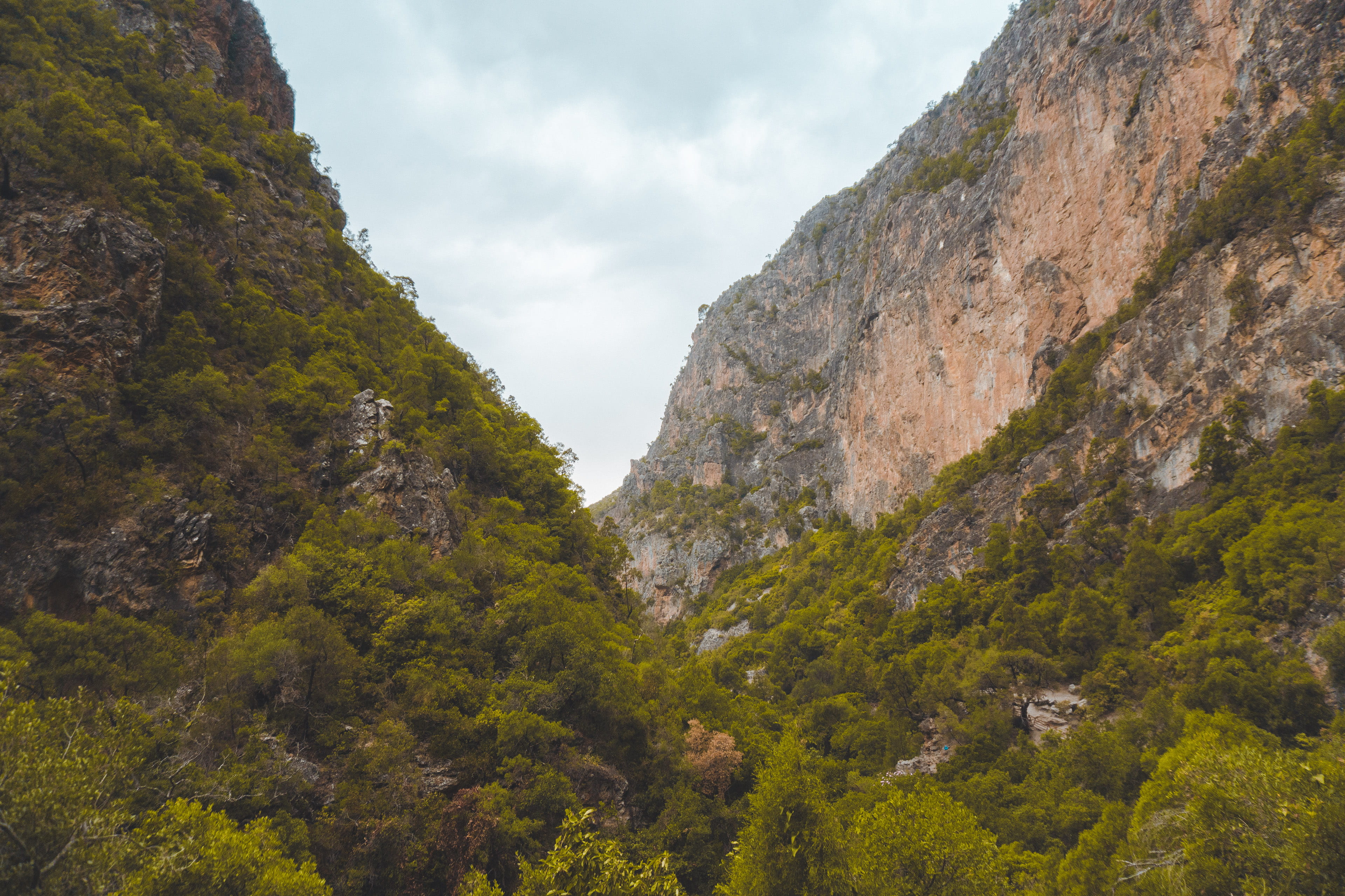 Green Trees on Rock Formation Mountain, cliffs, daylight, environment