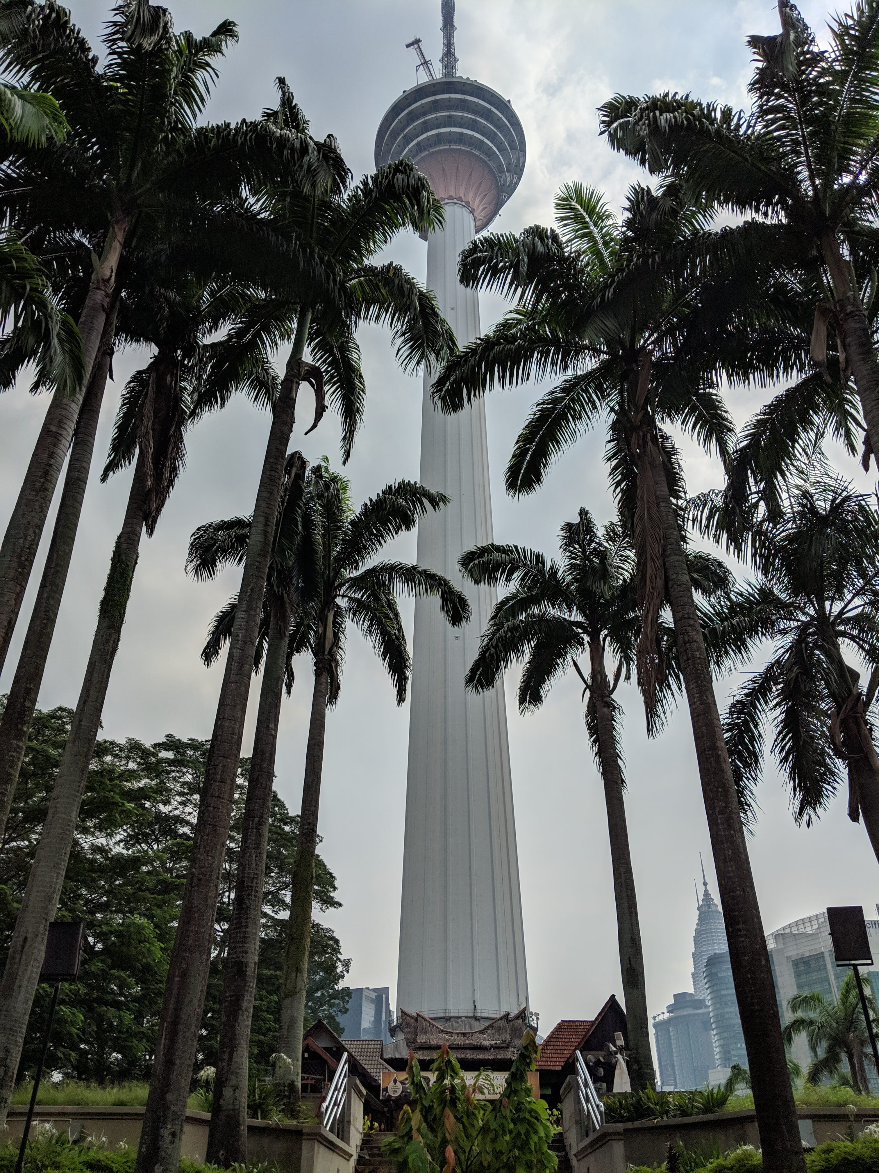 tower, architecture, building, tree, plant, palm tree, arecaceae