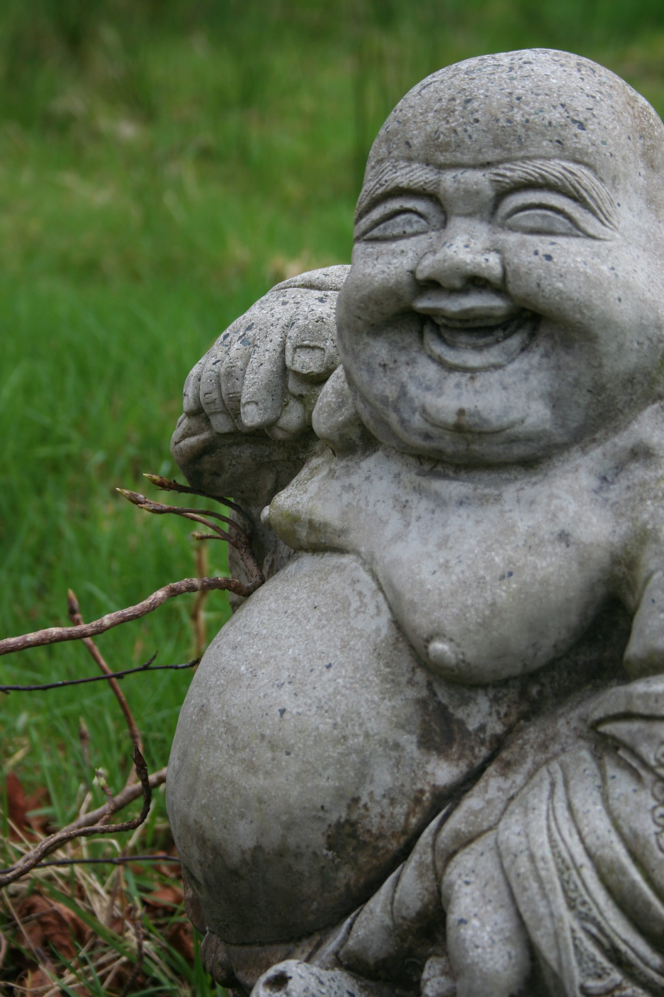 garden, status, laughing, laughing buddha statue, fun, funny