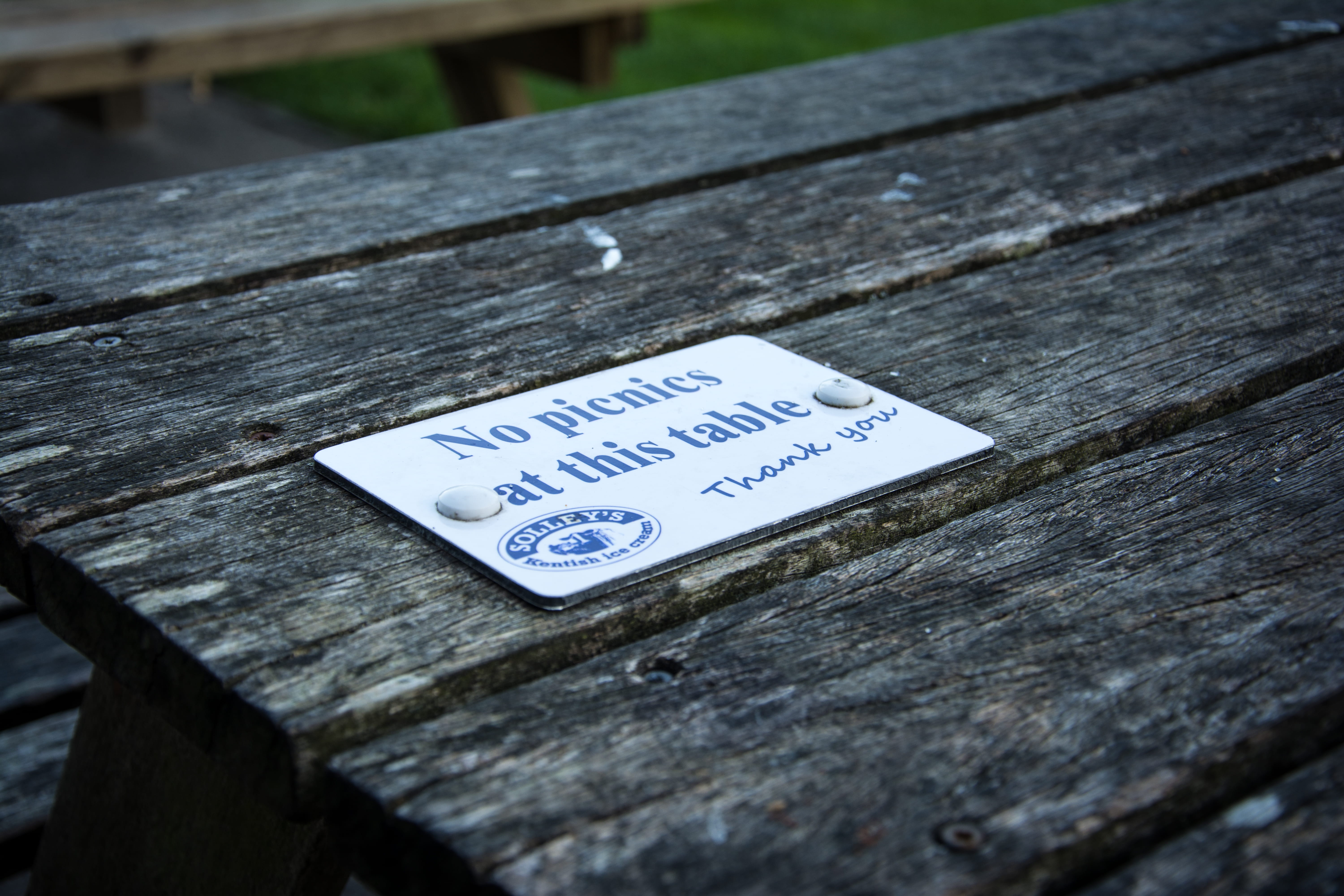 picnic, table, wood - material, text, western script, communication