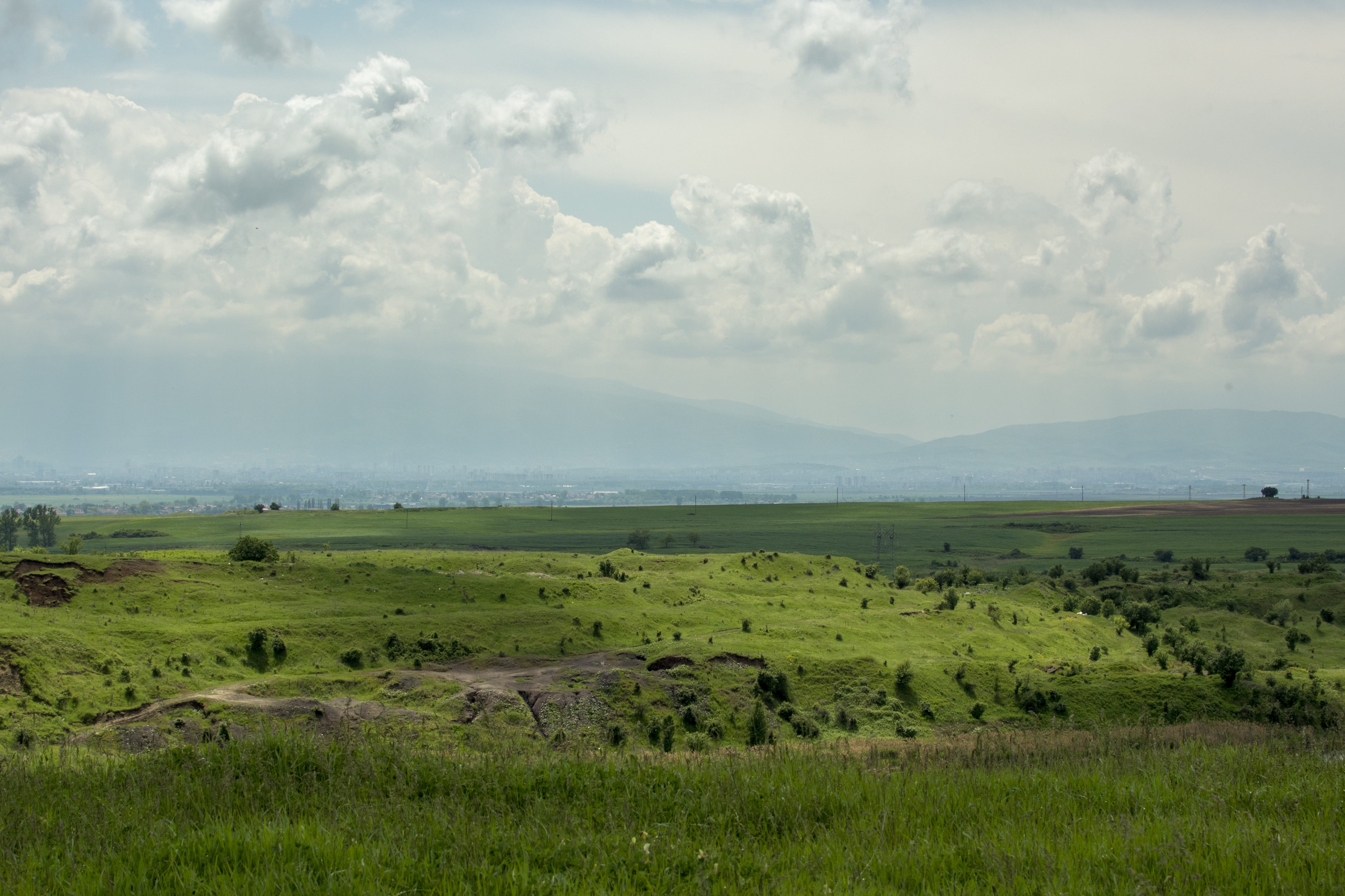 field, spring, clouds, nature, grass, environment, landscape
