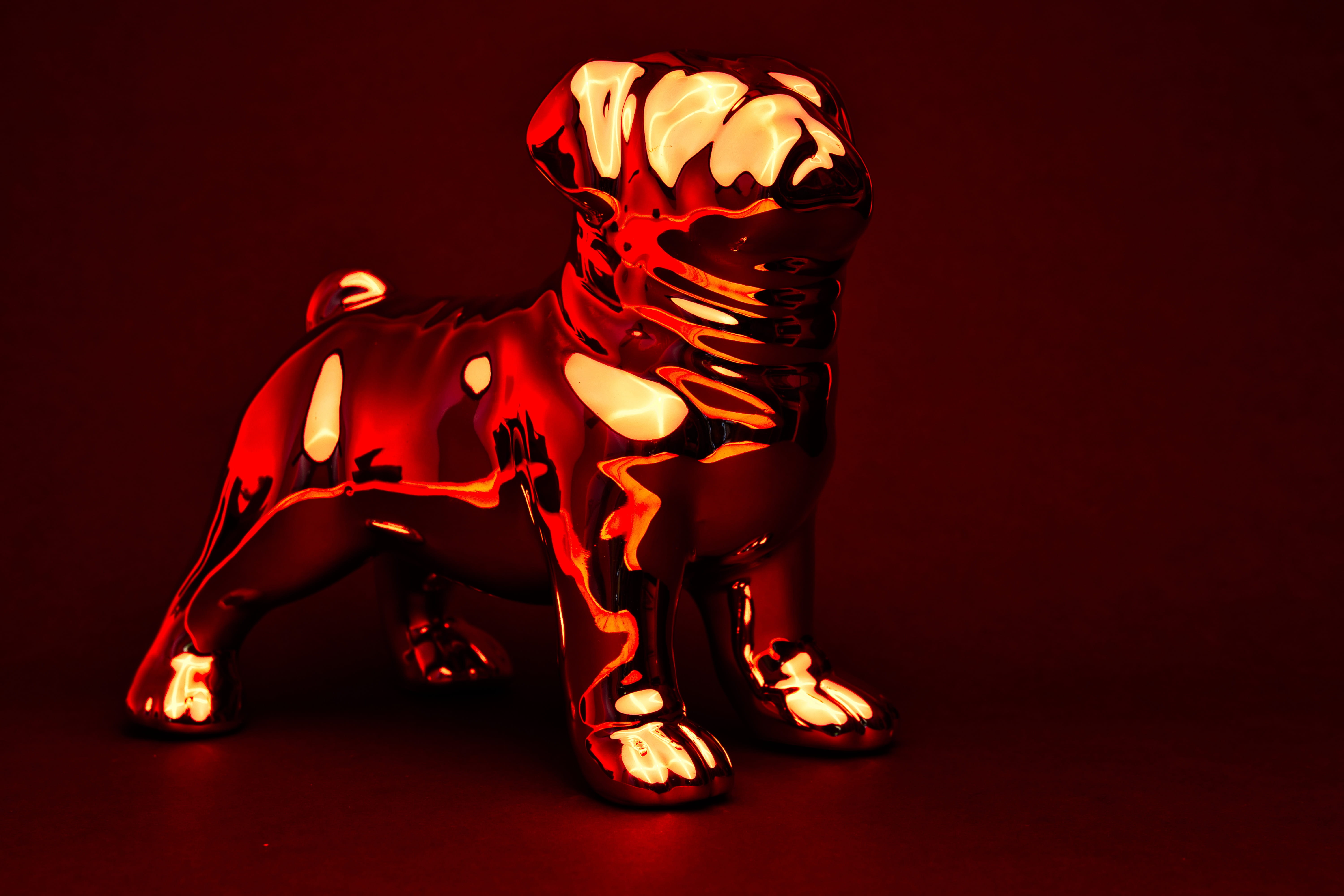 dog, chrome, reflection, reflections, wallpaper, red, studio shot