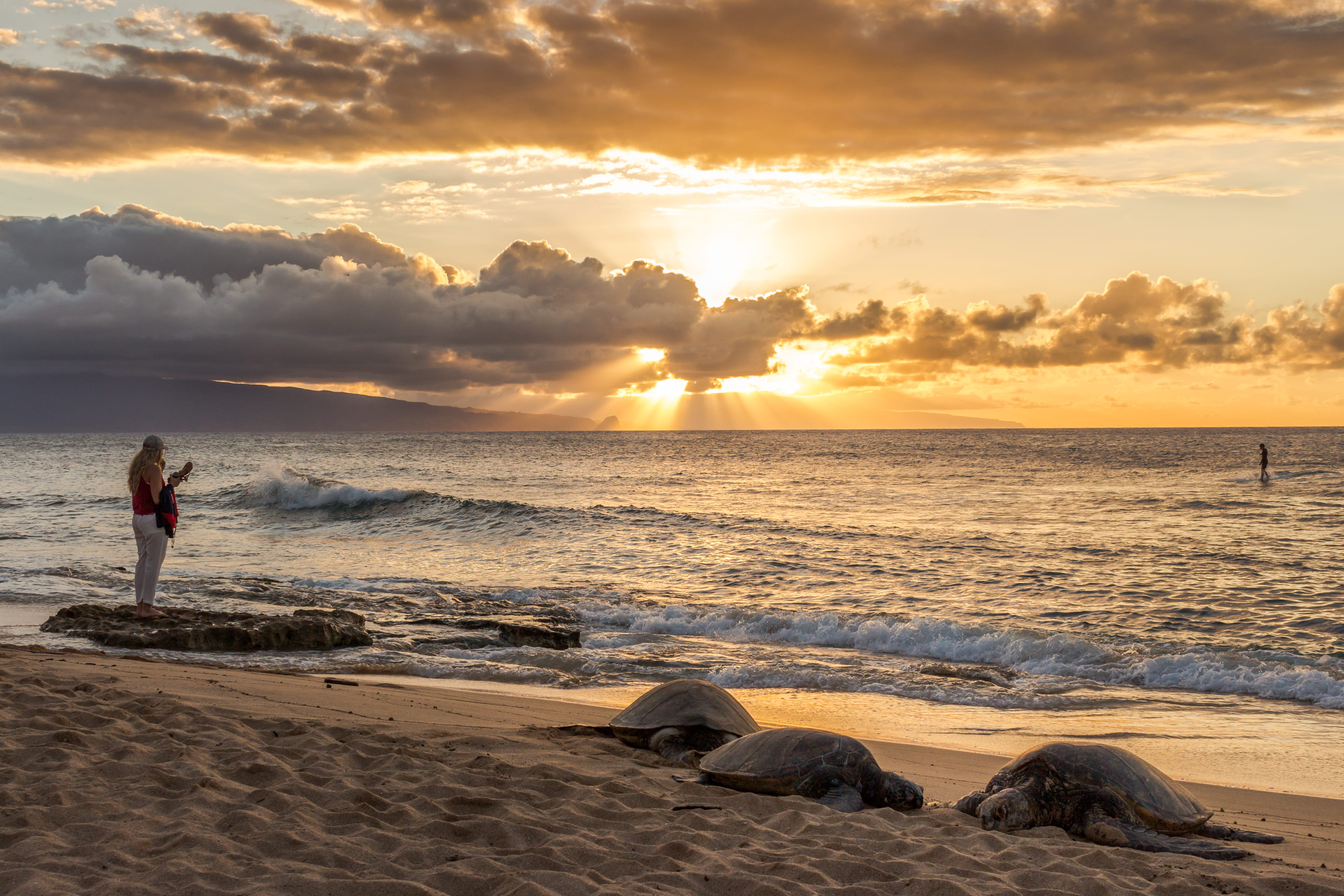 Free download | HD wallpaper: united states, paia, ho'okipa beach park 