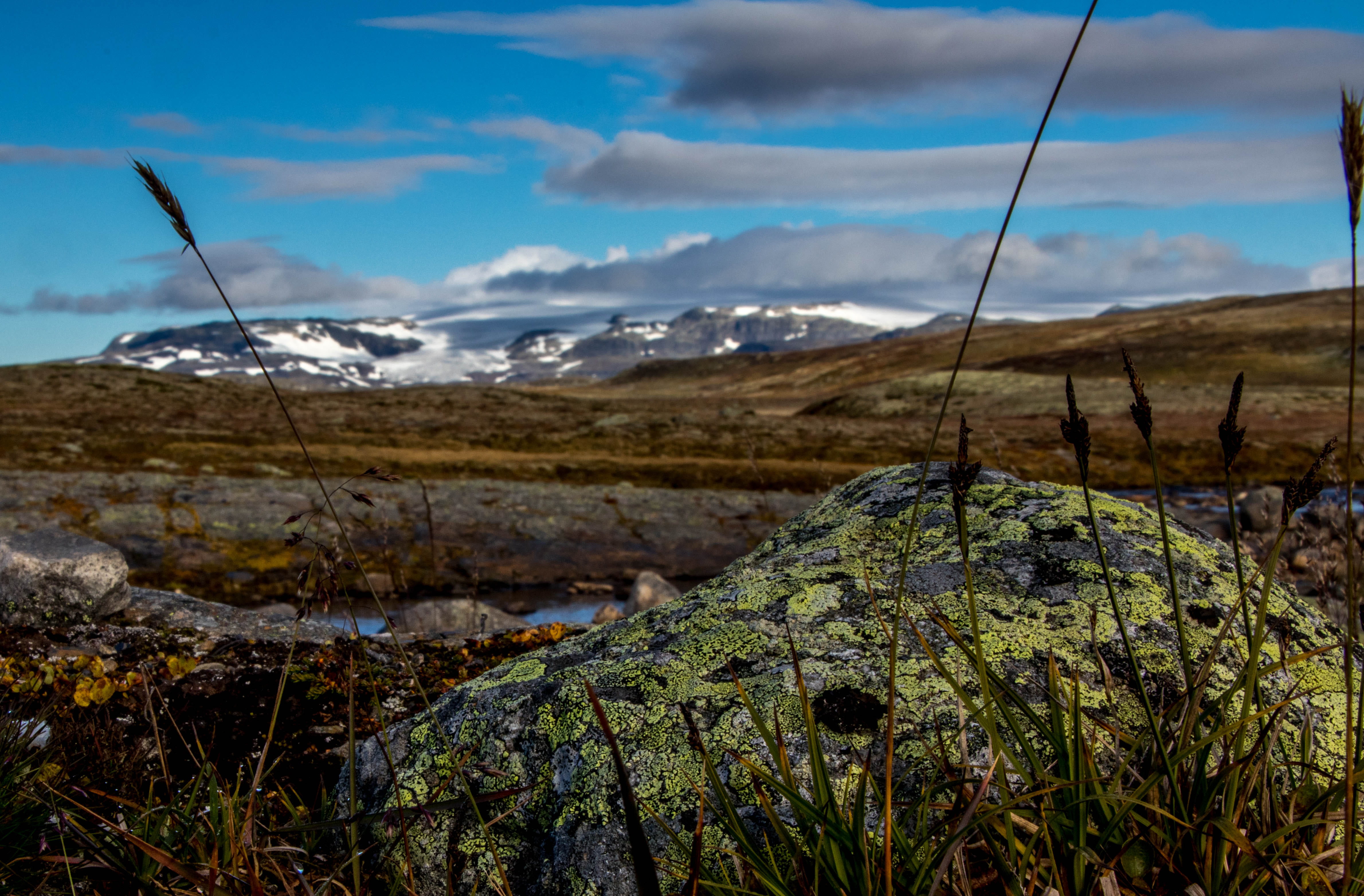 norway, hardangervidda national park, nasjonalpark, nature