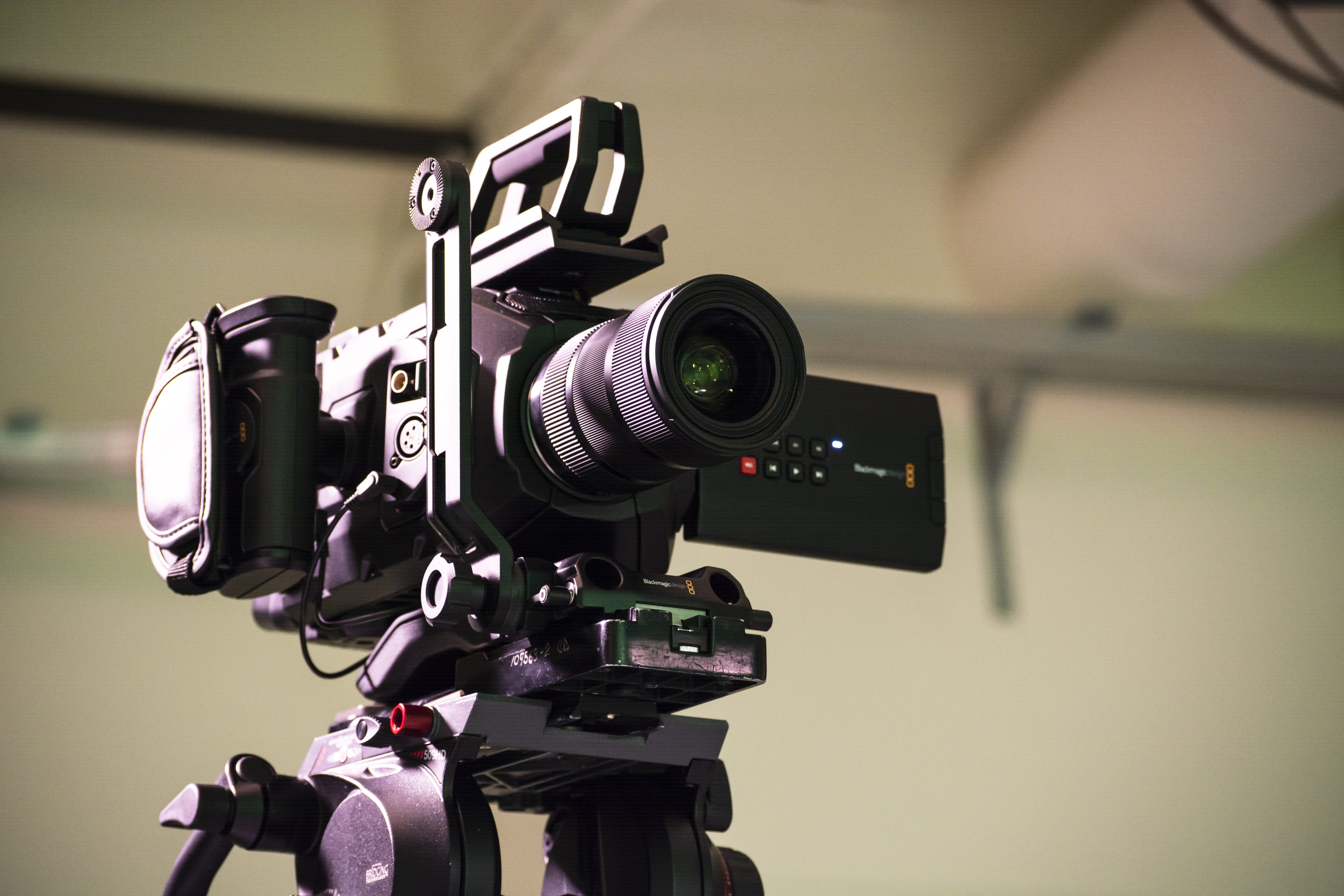 camera, electronics, video camera, tripod, digital camera, vegetation