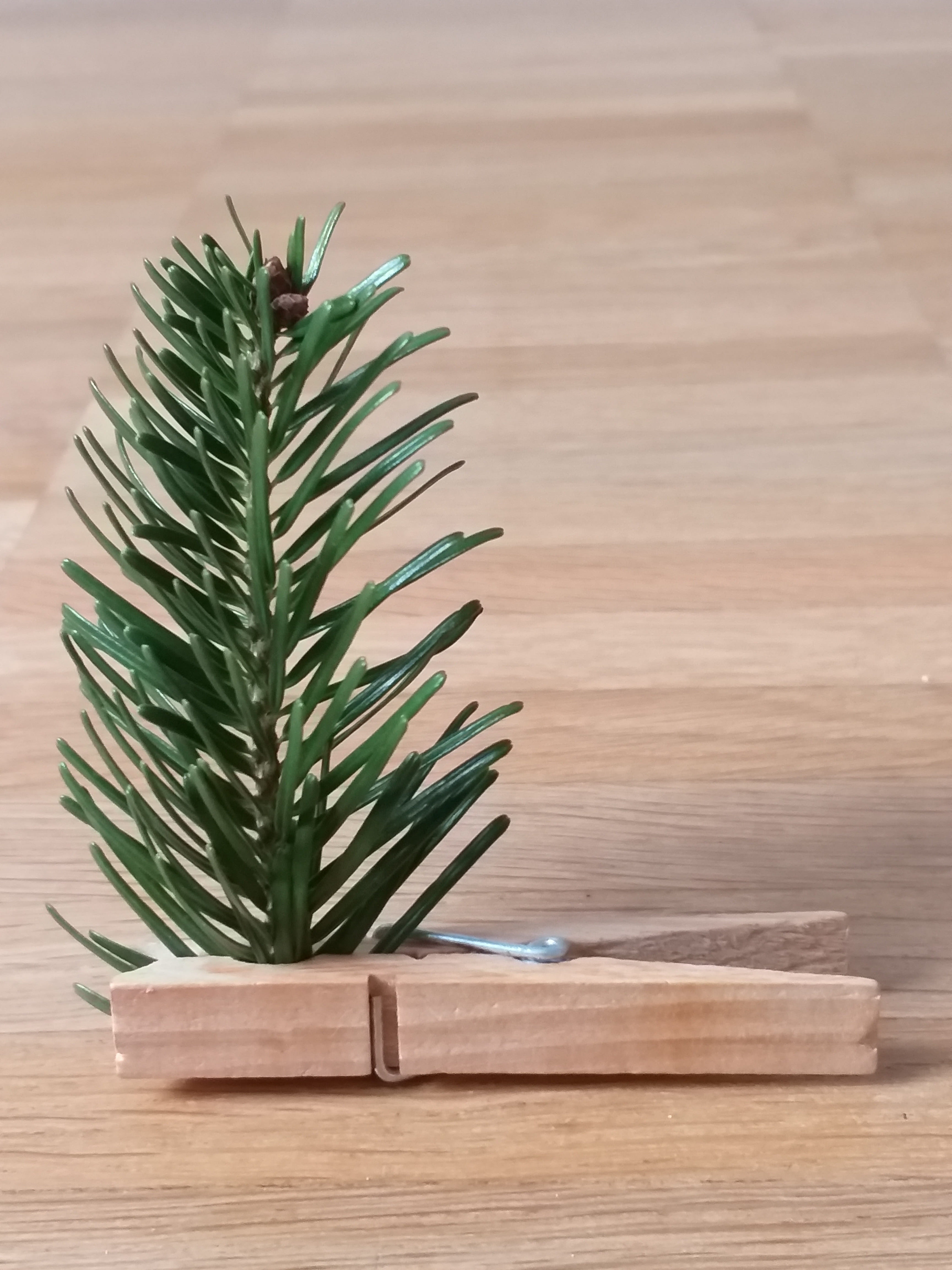 christmas, tree, clothes peg, advent, map, tree decorations