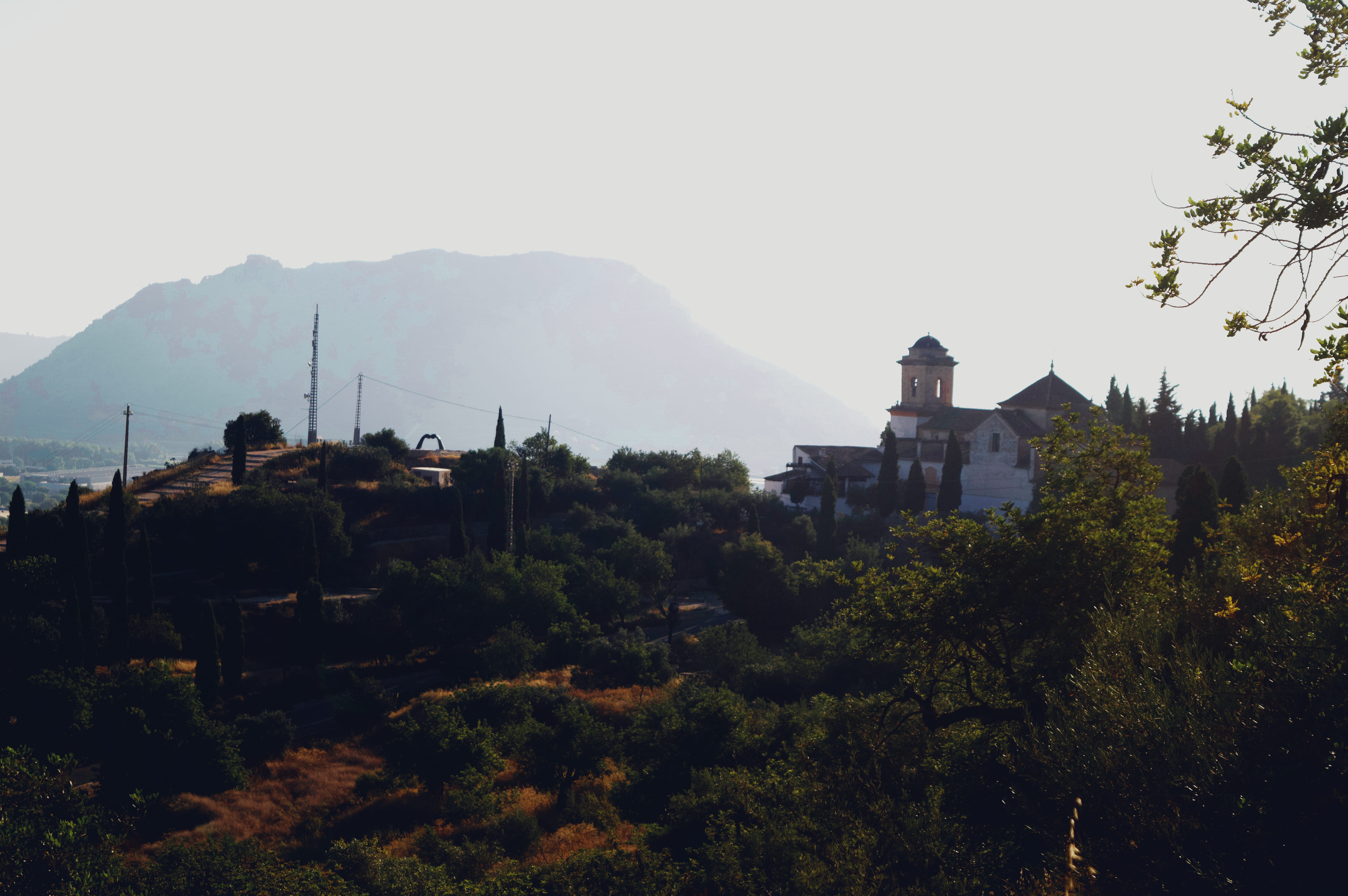 spain, xàtiva, tree, built structure, building exterior, mountain
