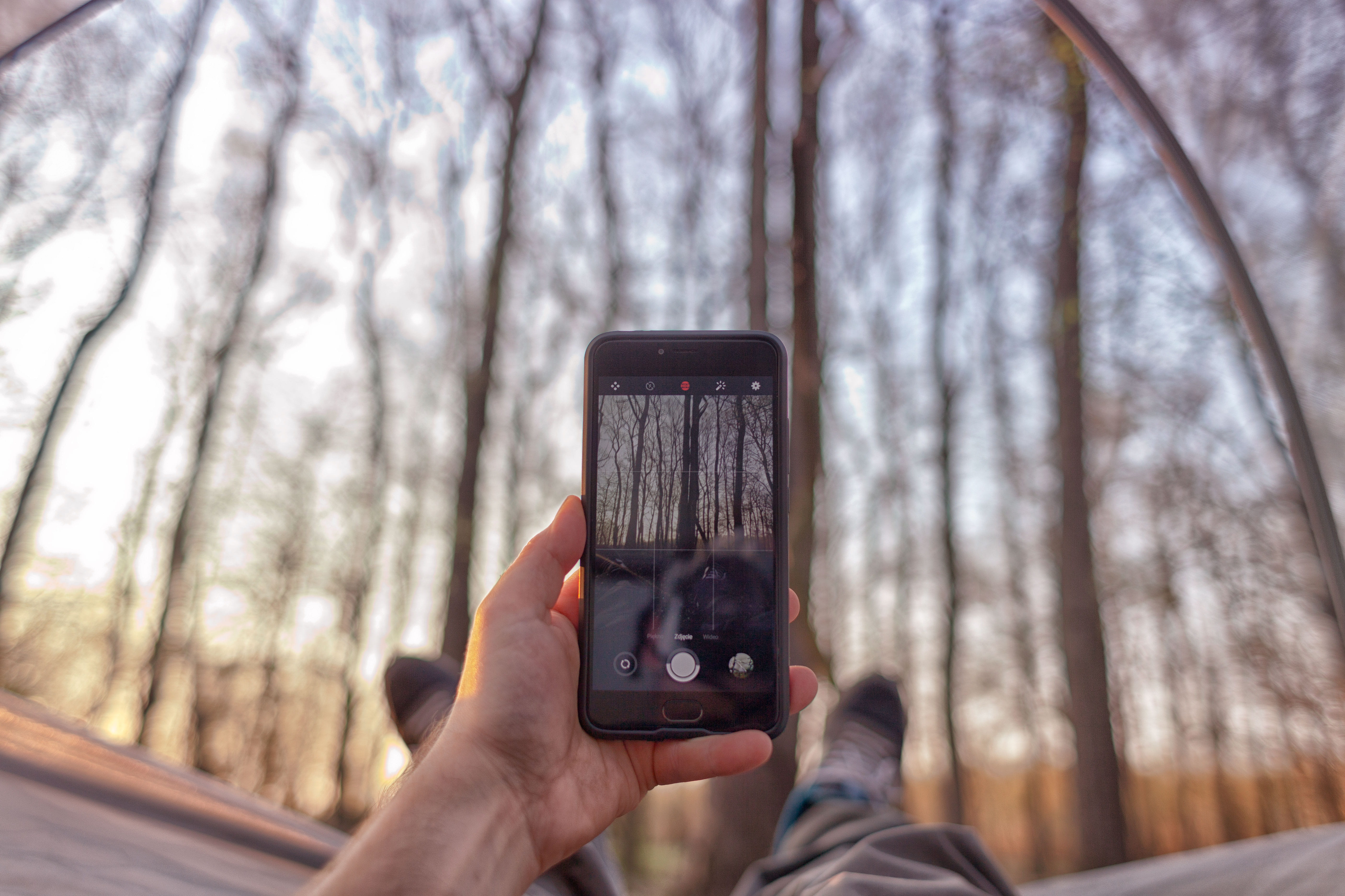 trees, forest, tent, phone, technology, human hand, wireless technology