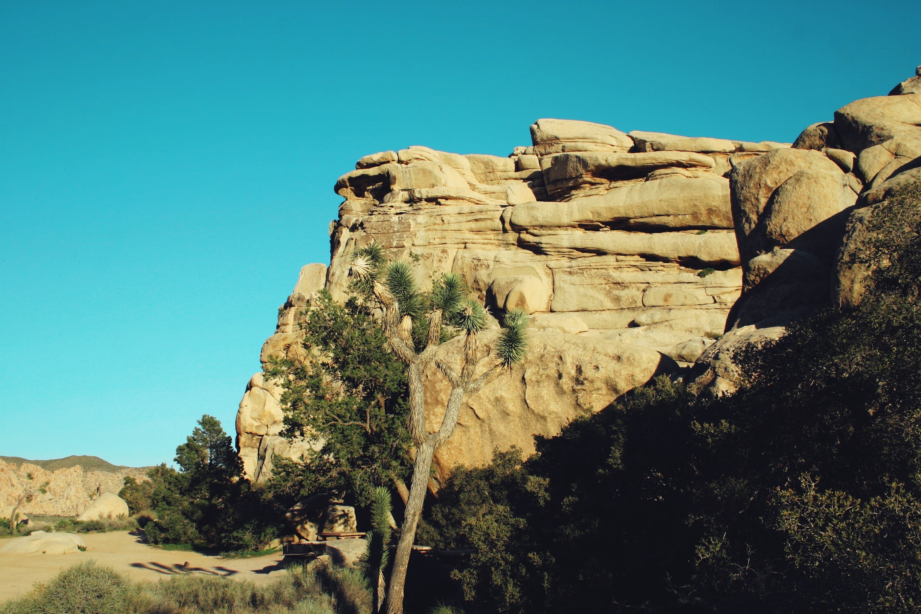 nature, outdoors, mesa, joshua tree national park, cliff, scenery
