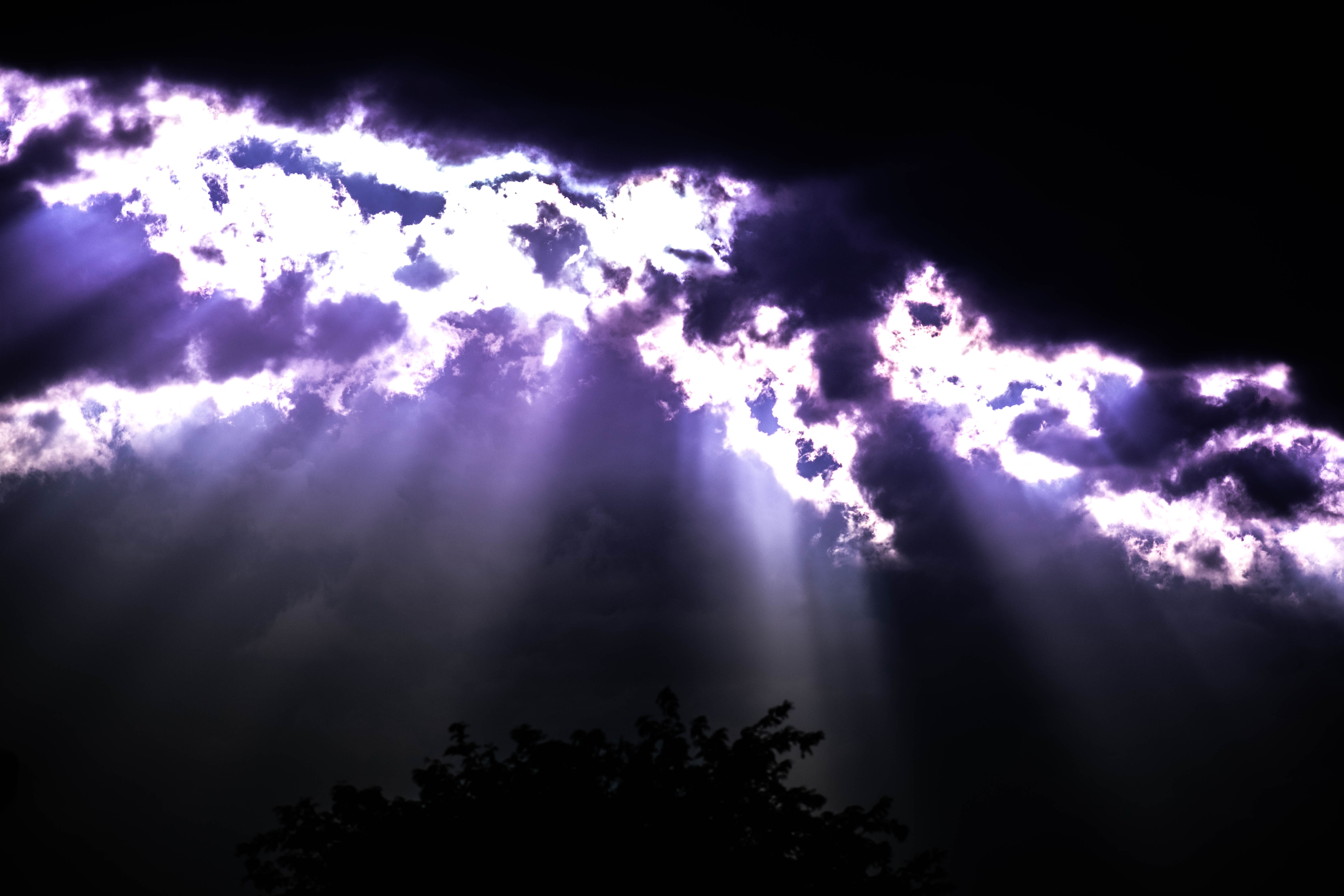 tree, dark, shadows, light, light beam, rays, light rays, cloud