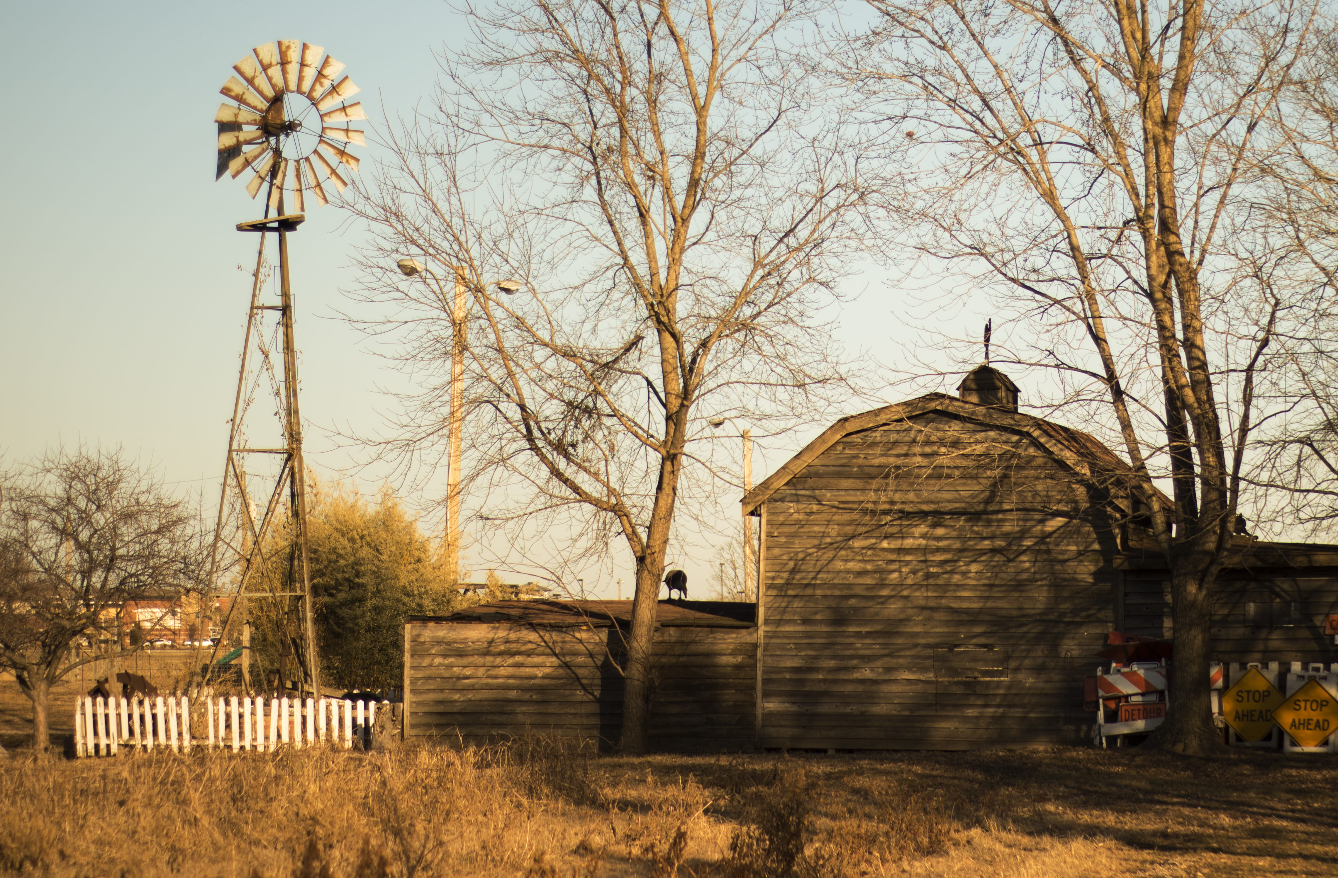 farm, windmill, rustic, old, barn, built structure, tree, architecture