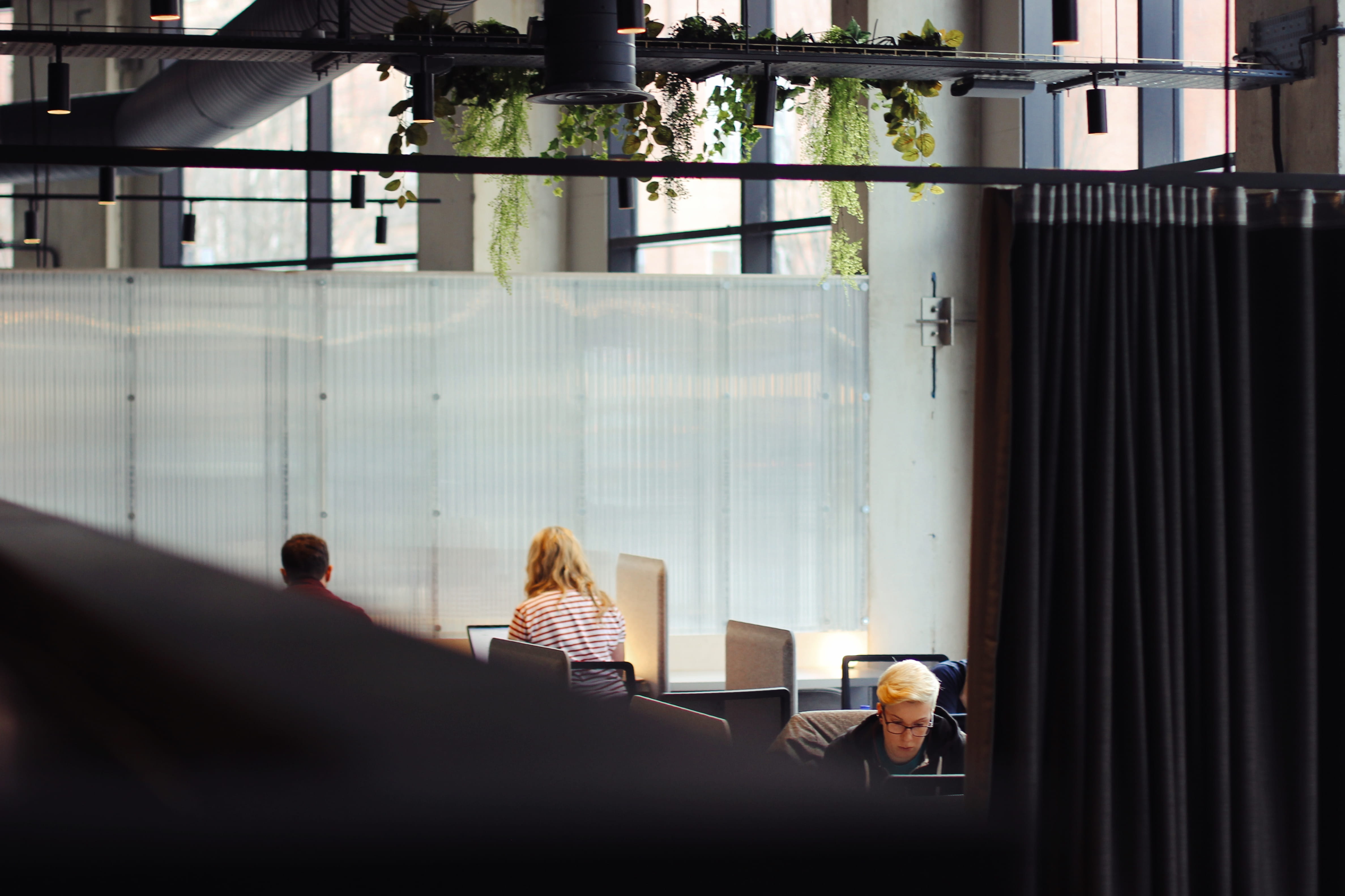 people using laptops inside building, person, human, indoors